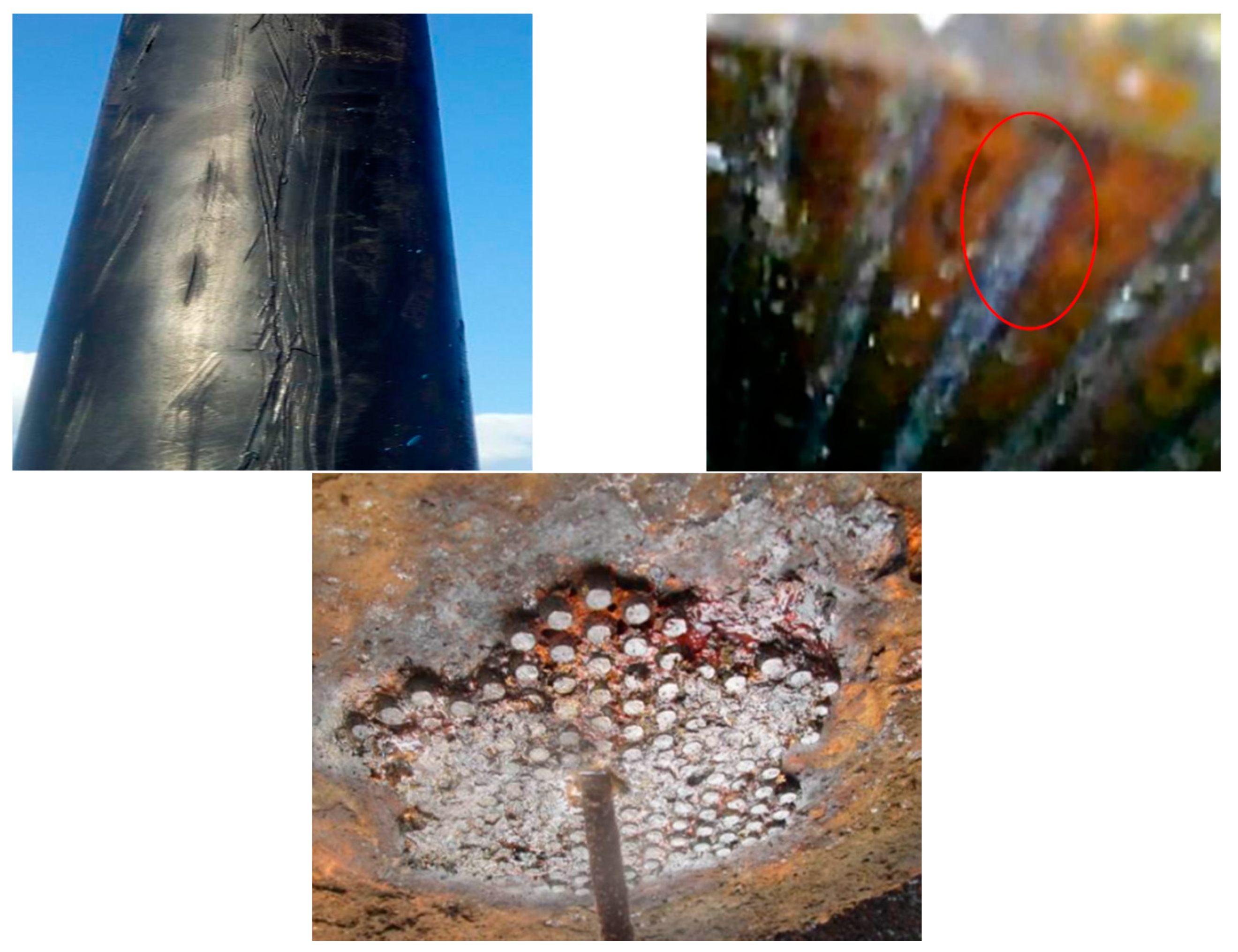 Sustainability 14 07147 g005