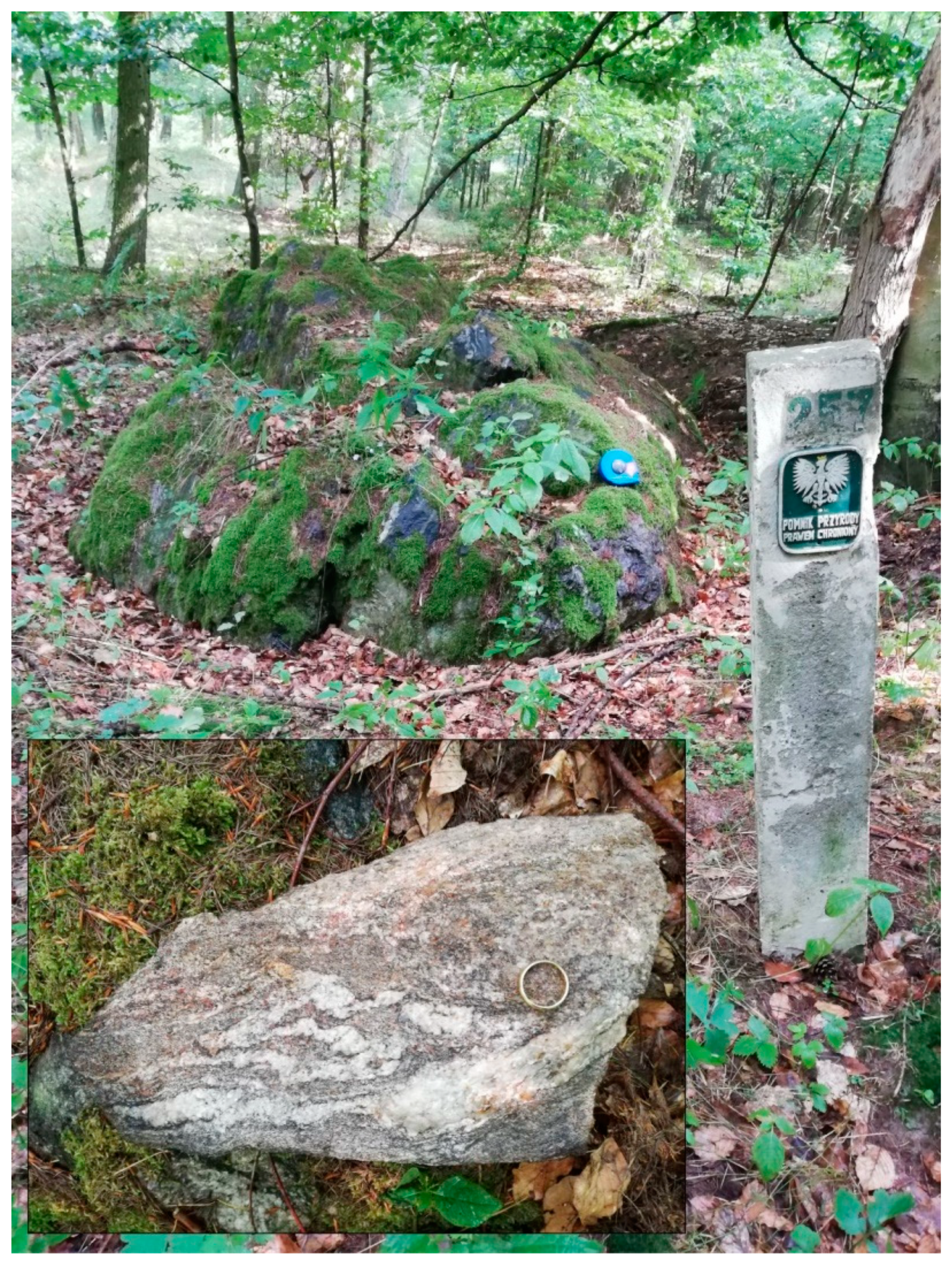 Sustainability 14 07190 g003