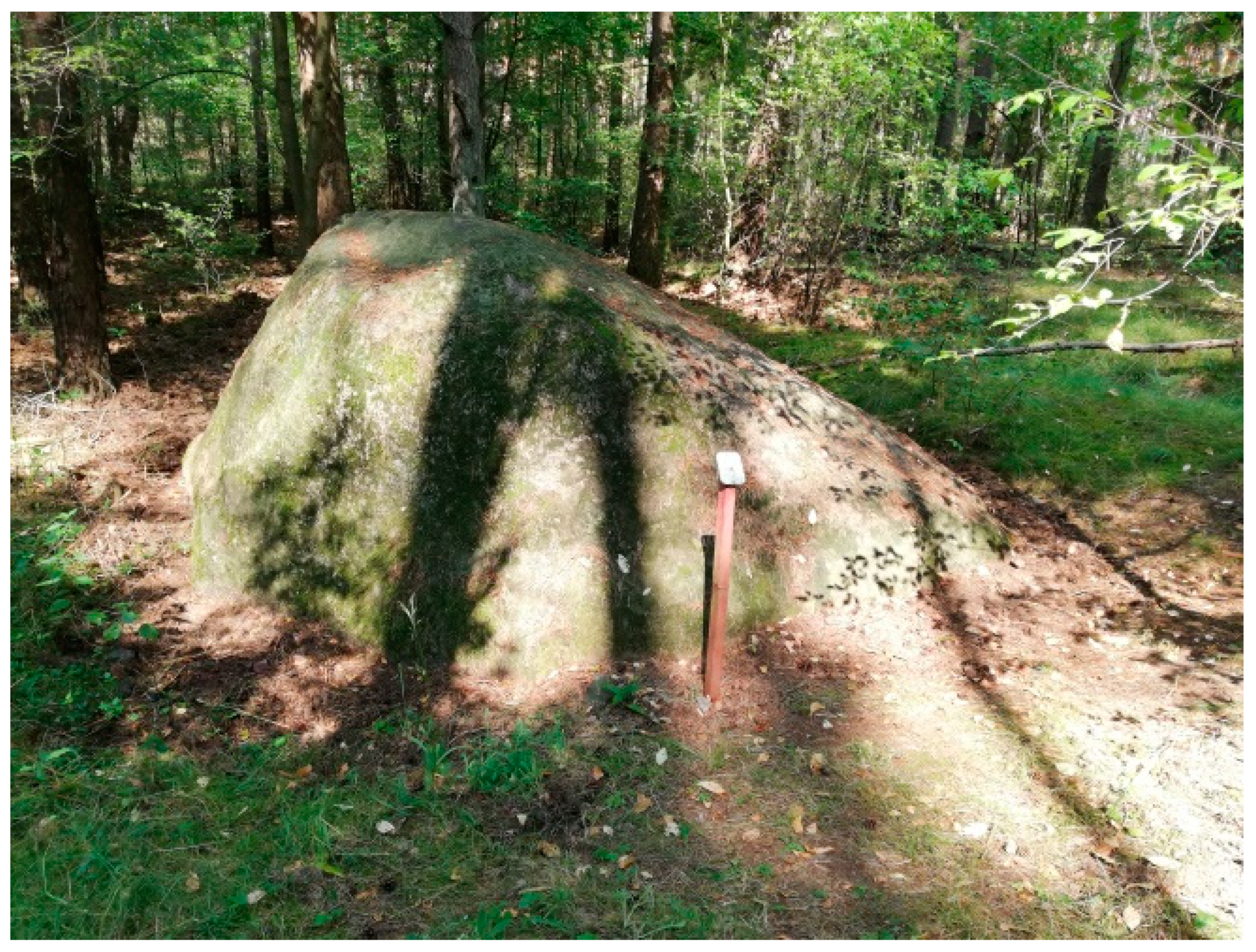 Sustainability 14 07190 g006