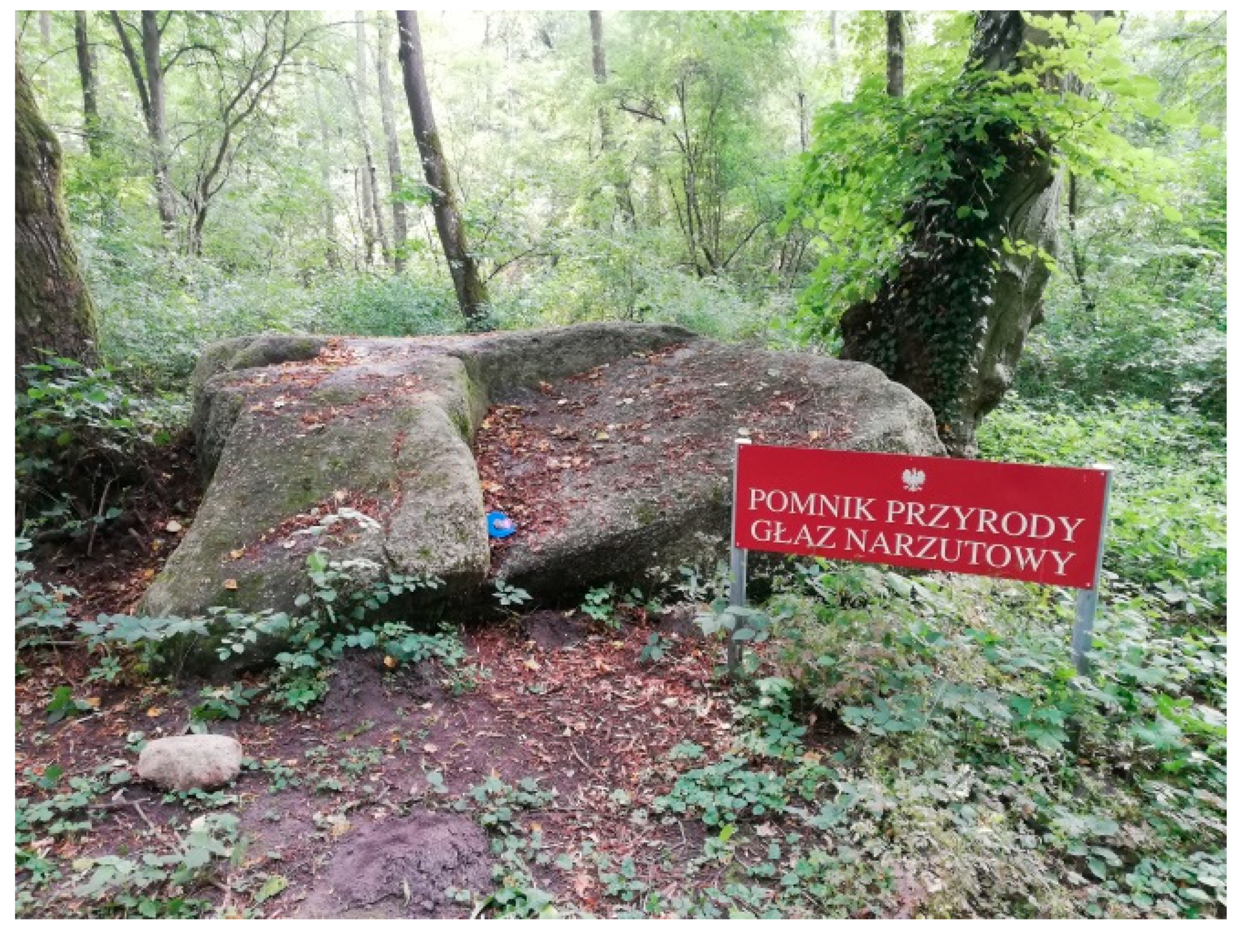 Sustainability 14 07190 g007