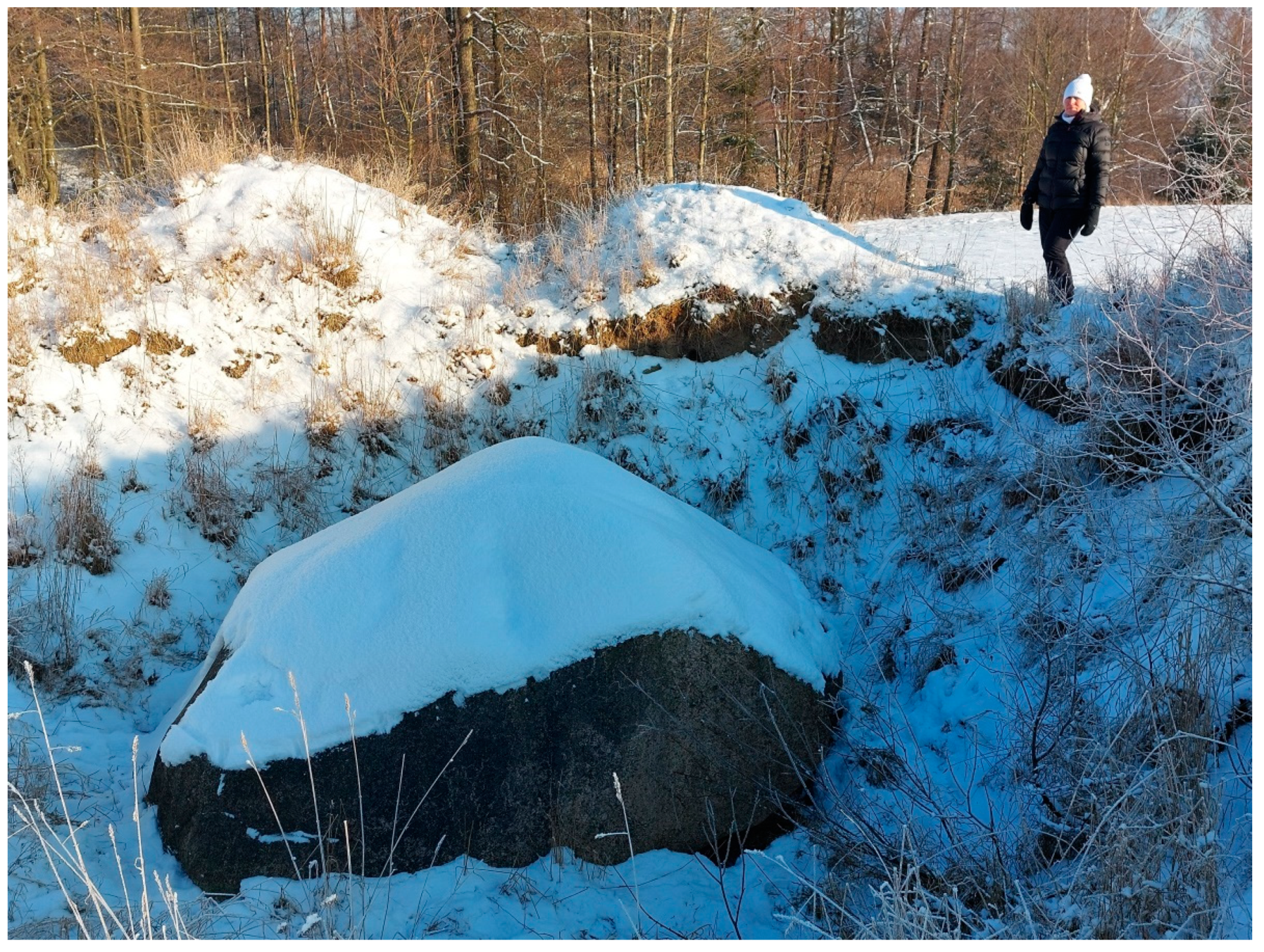 Sustainability 14 07190 g008