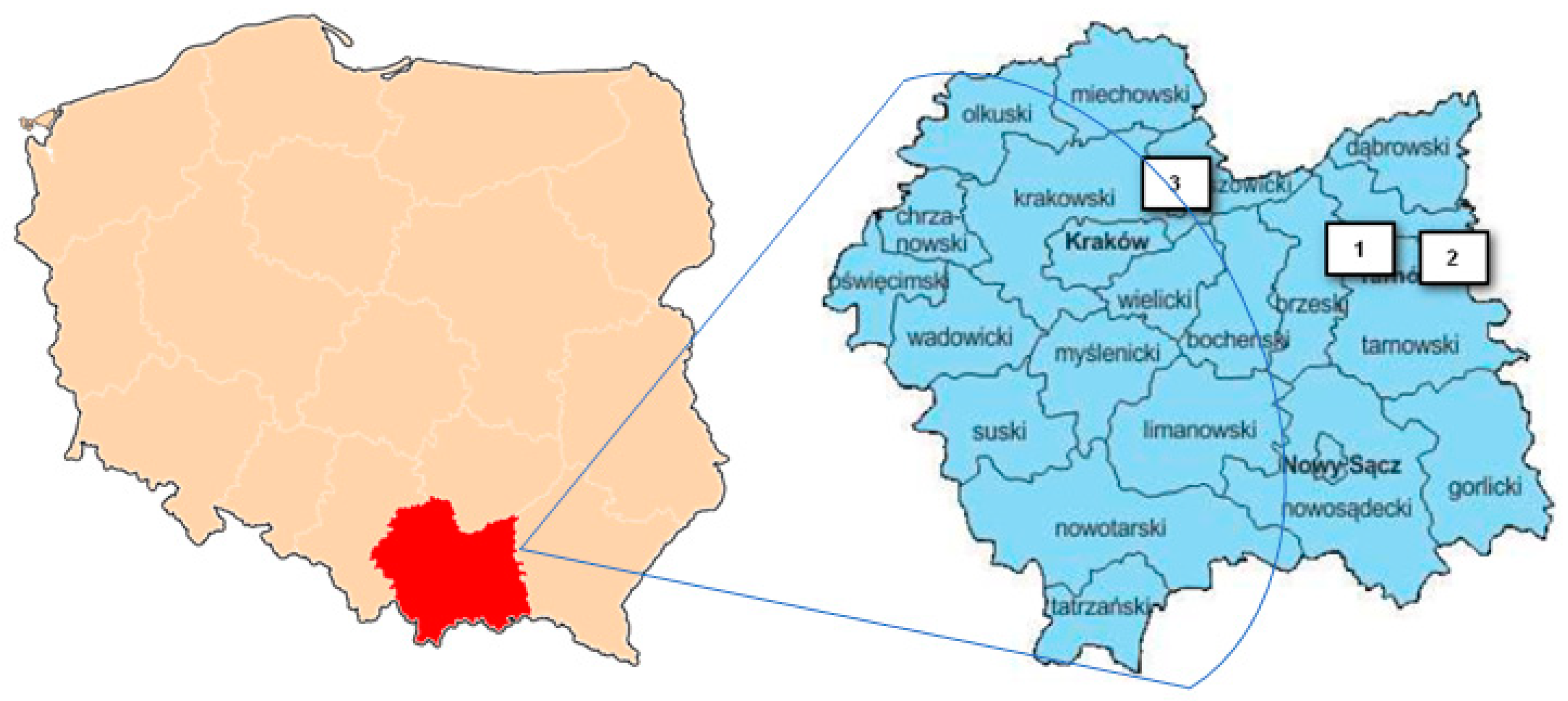 Sustainability 14 07309 g001