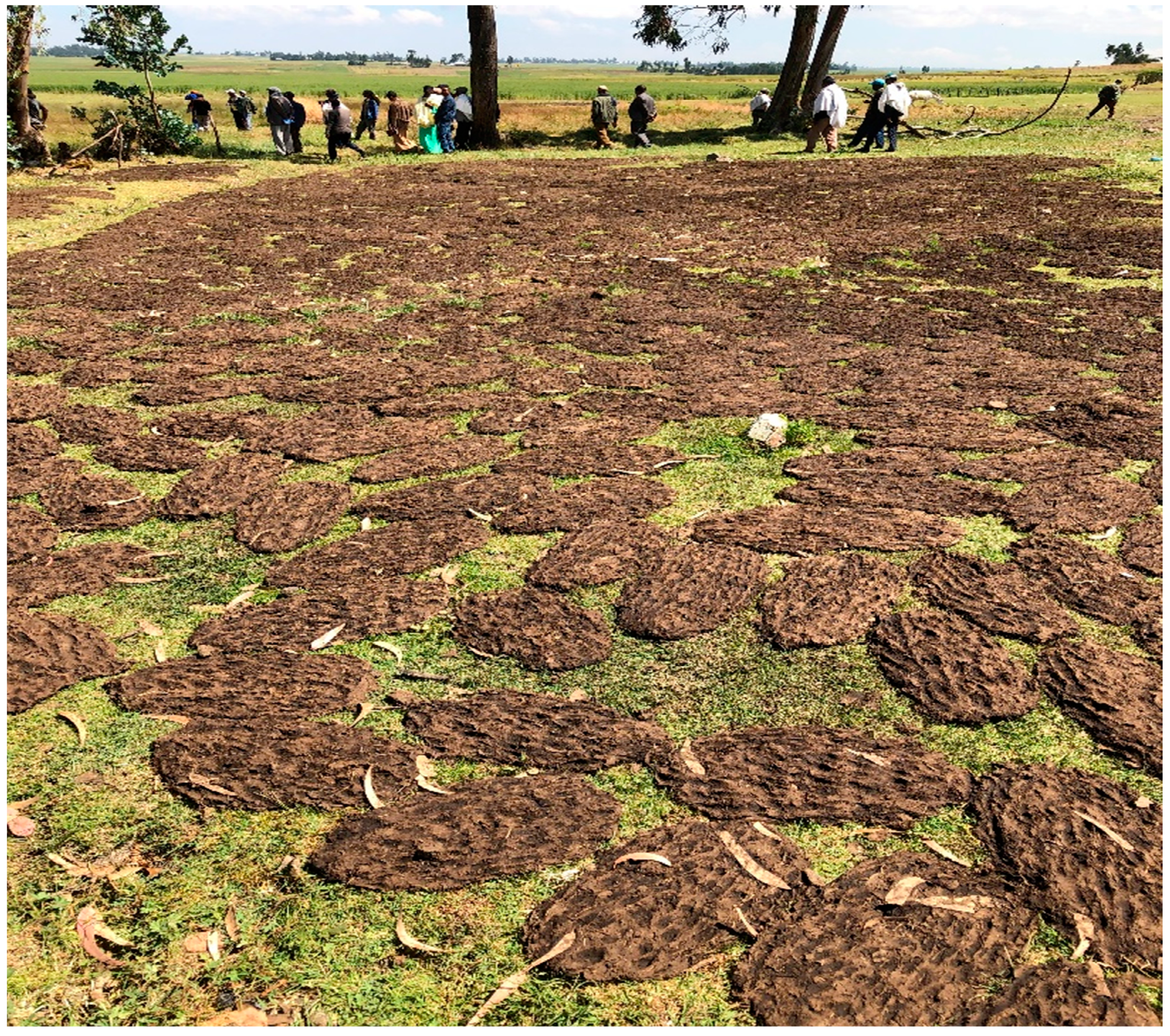 Sustainability 14 07370 g003