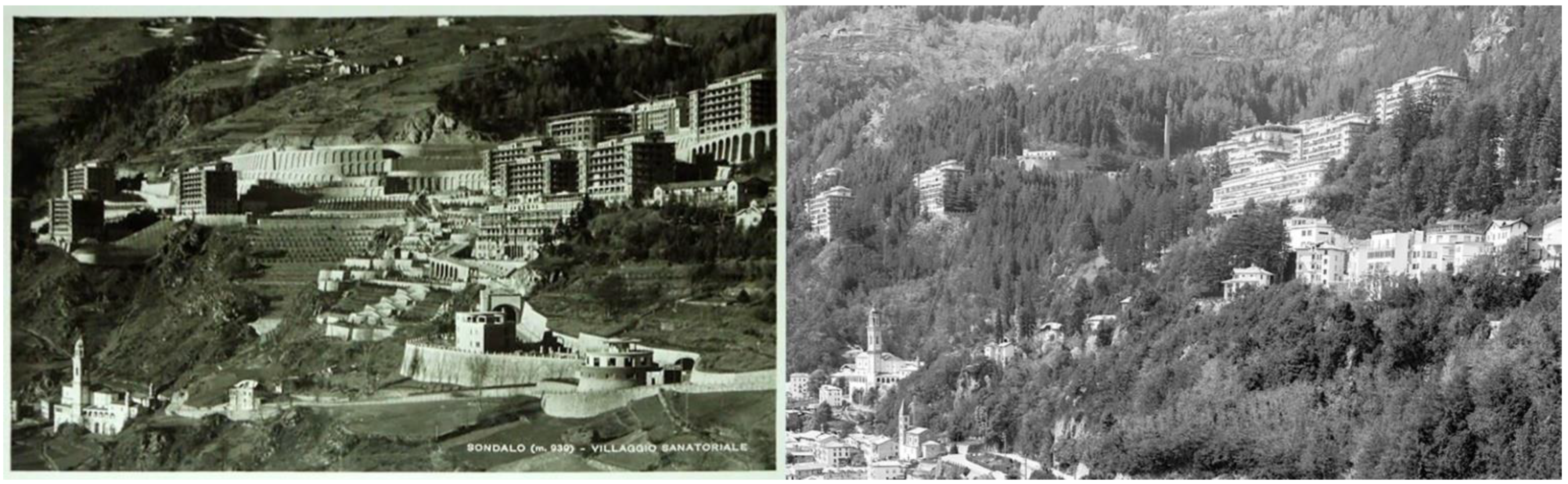 Sustainability 14 07424 g001