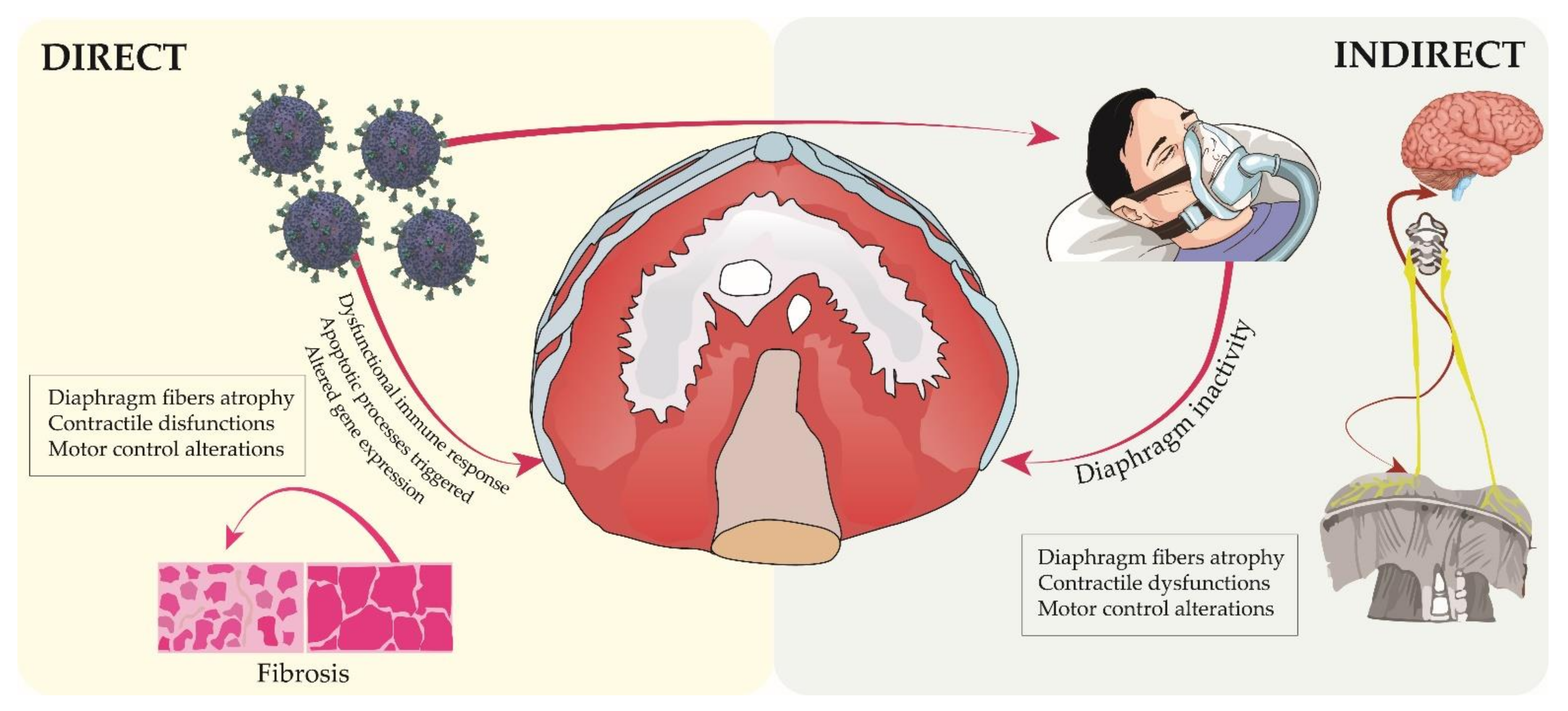 Sustainability 14 07446 g001