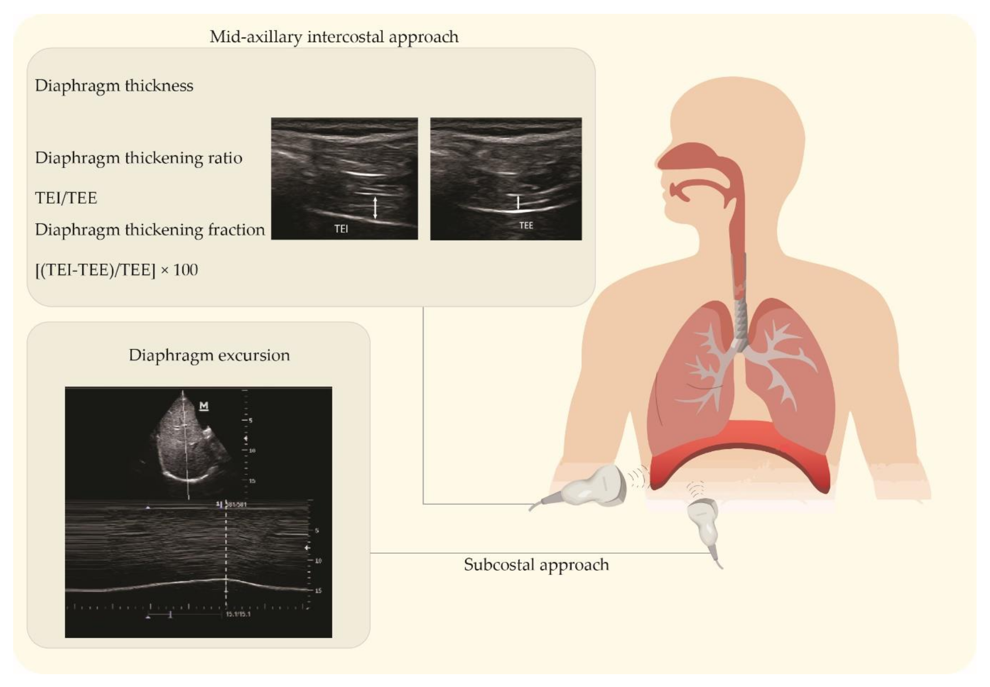 Sustainability 14 07446 g002