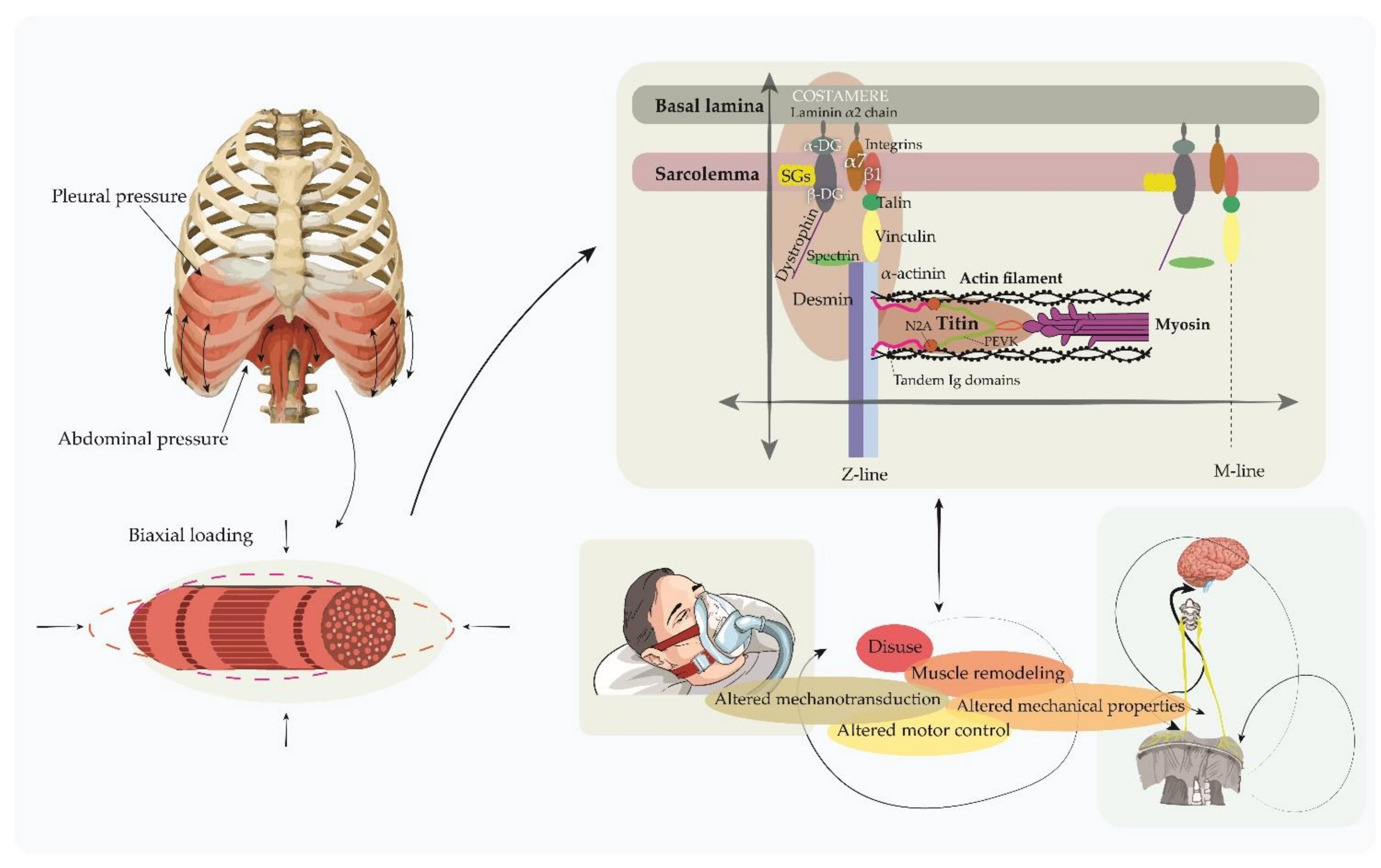 Sustainability 14 07446 g003