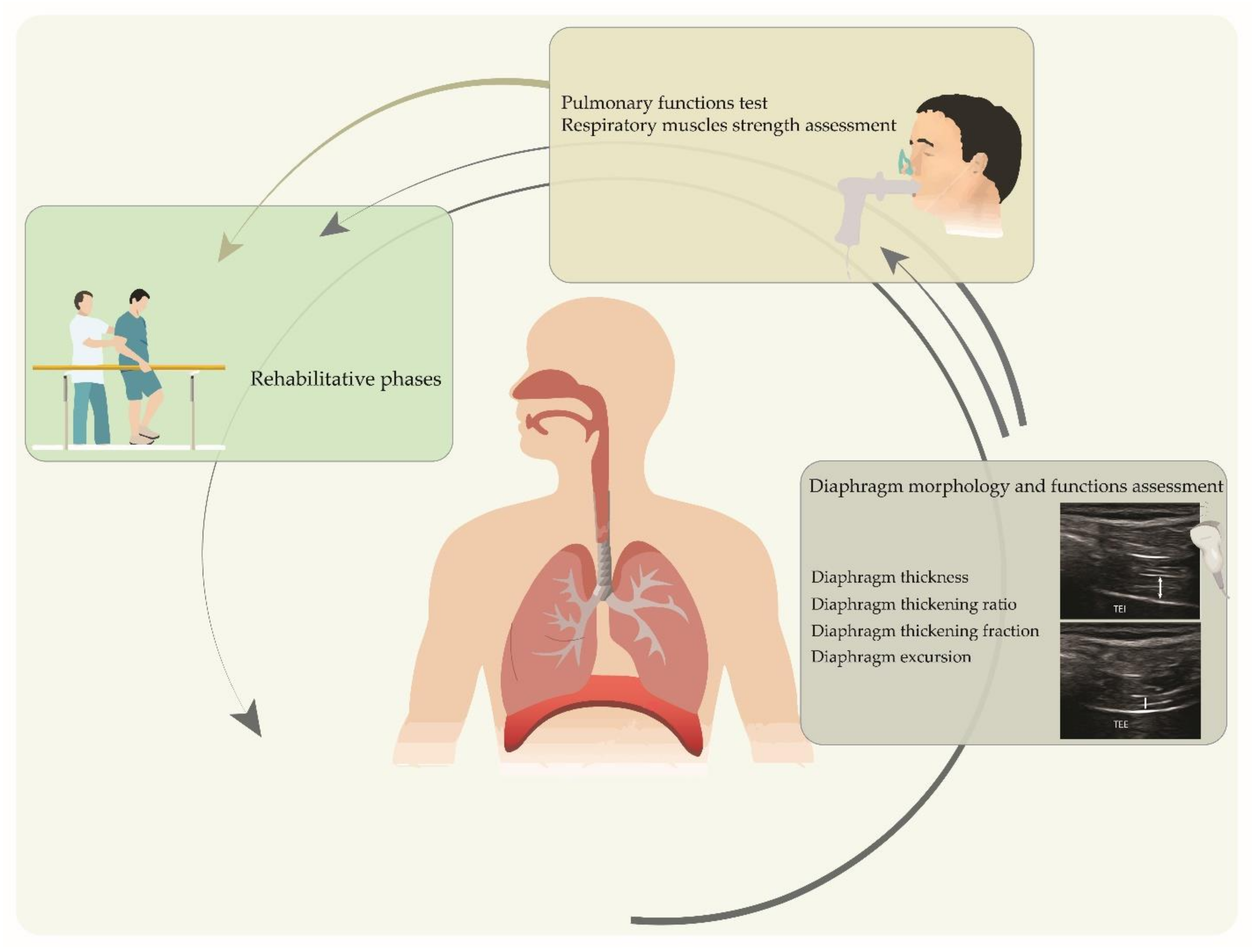 Sustainability 14 07446 g005