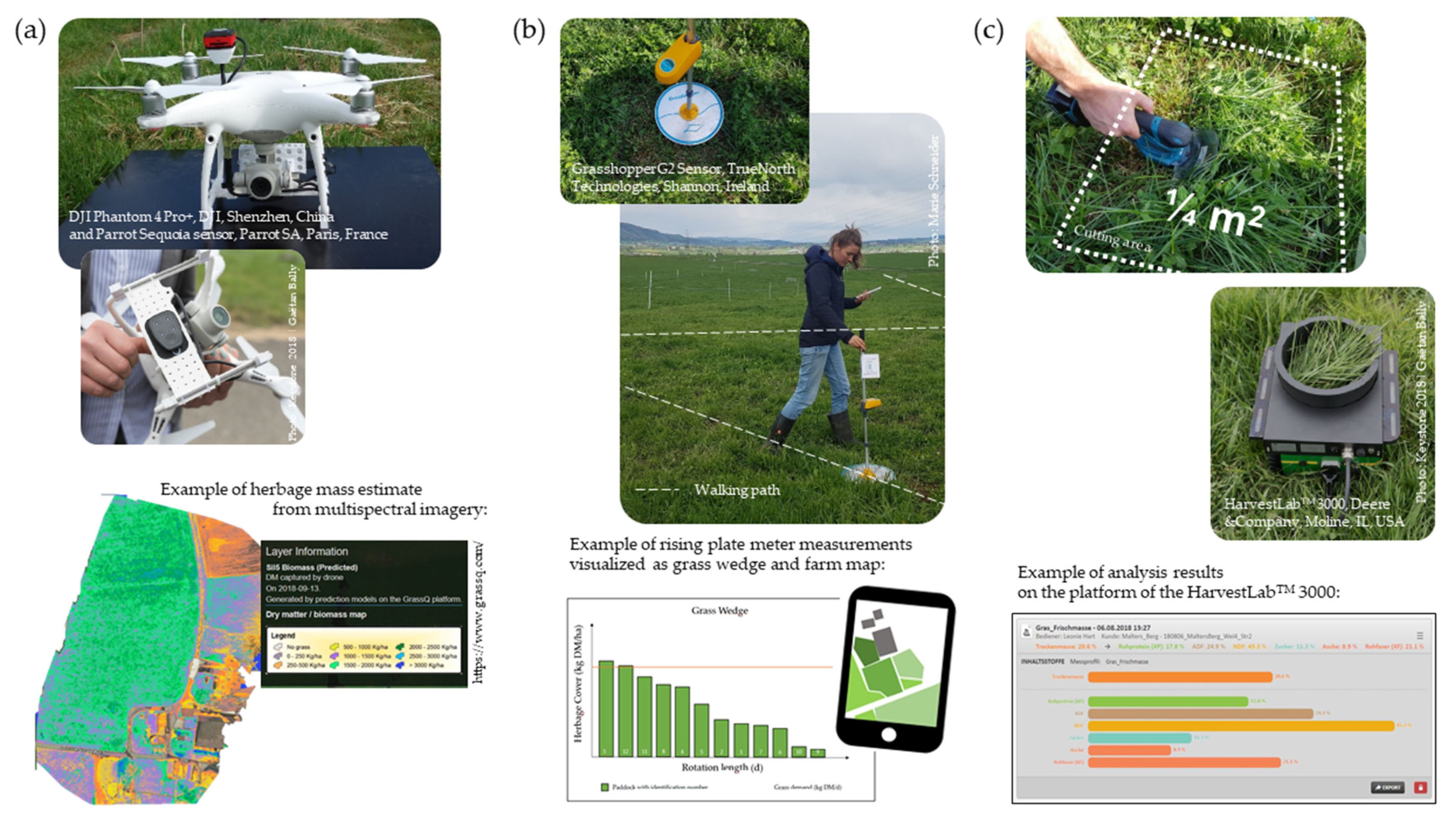 Sustainability 14 07490 g0a1