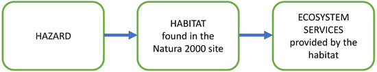 Sustainability 14 07567 g002