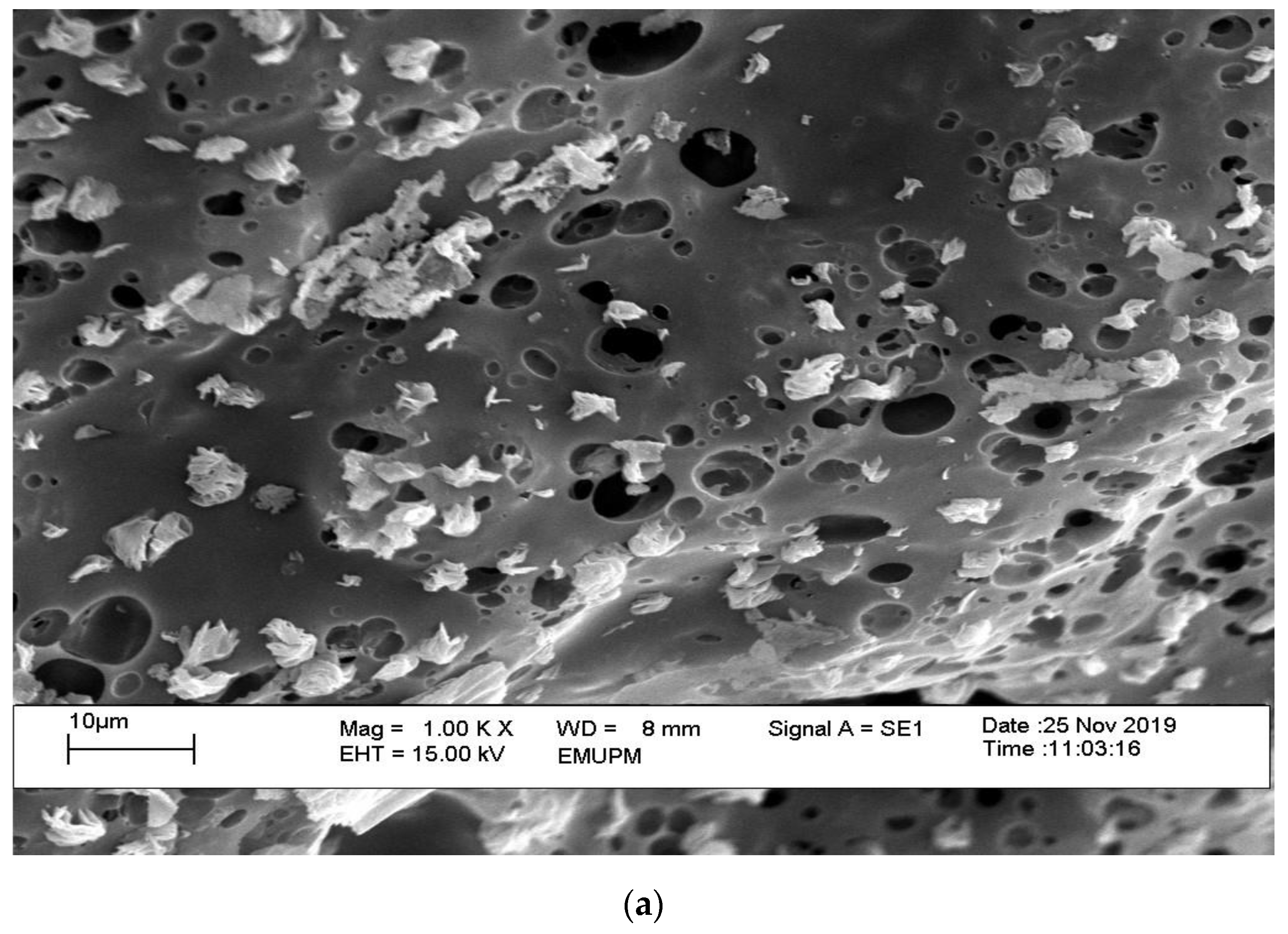 Sustainability 14 07622 g002a