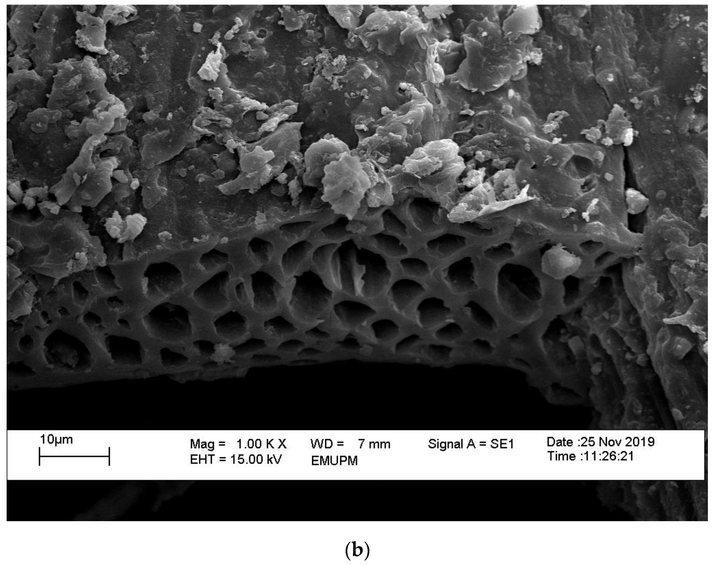 Sustainability 14 07622 g002b