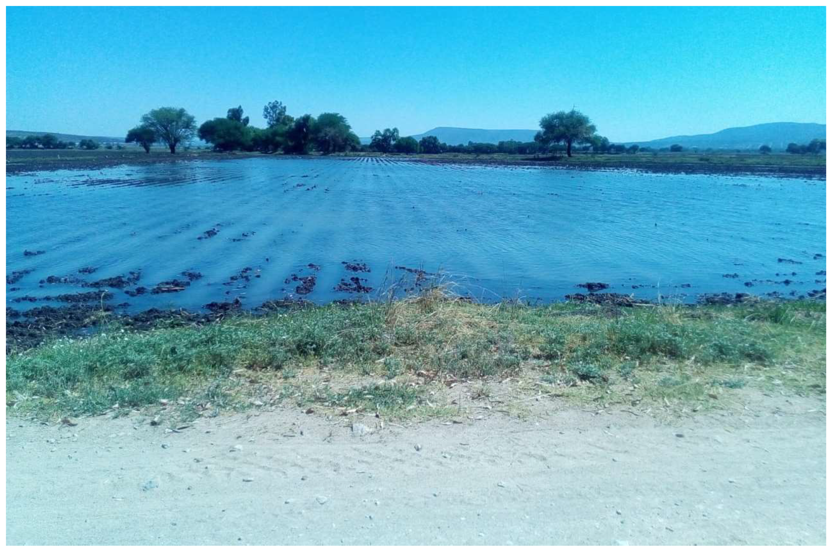 Sustainability 14 07689 g001