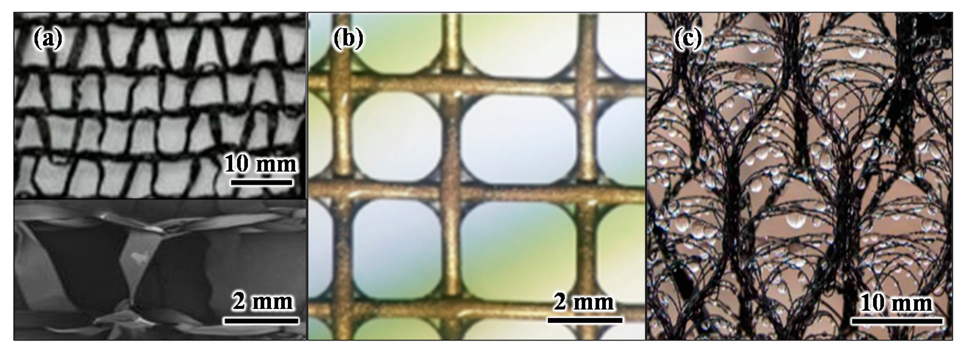 Sustainability 14 07783 g003