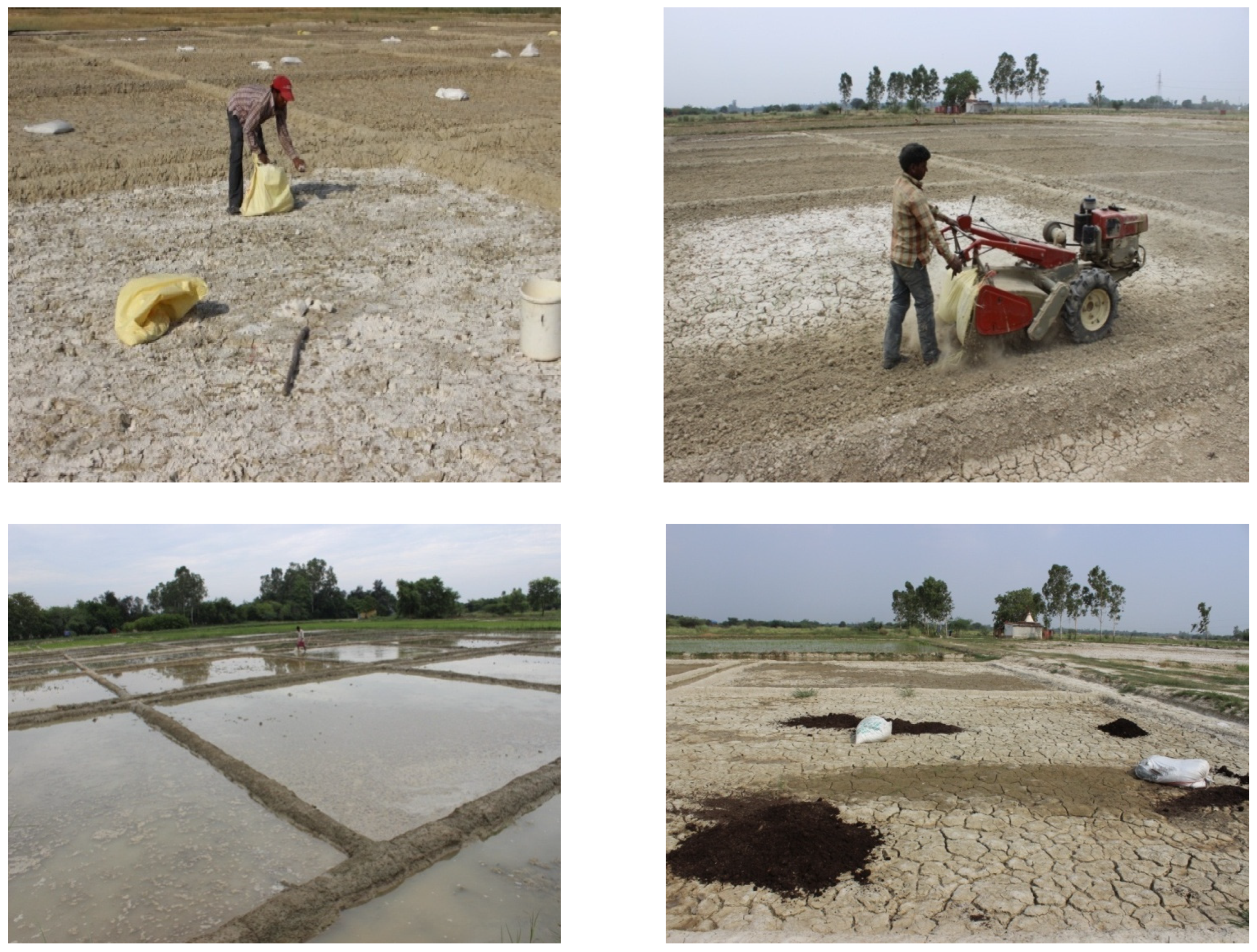 Sustainability 14 07809 g002