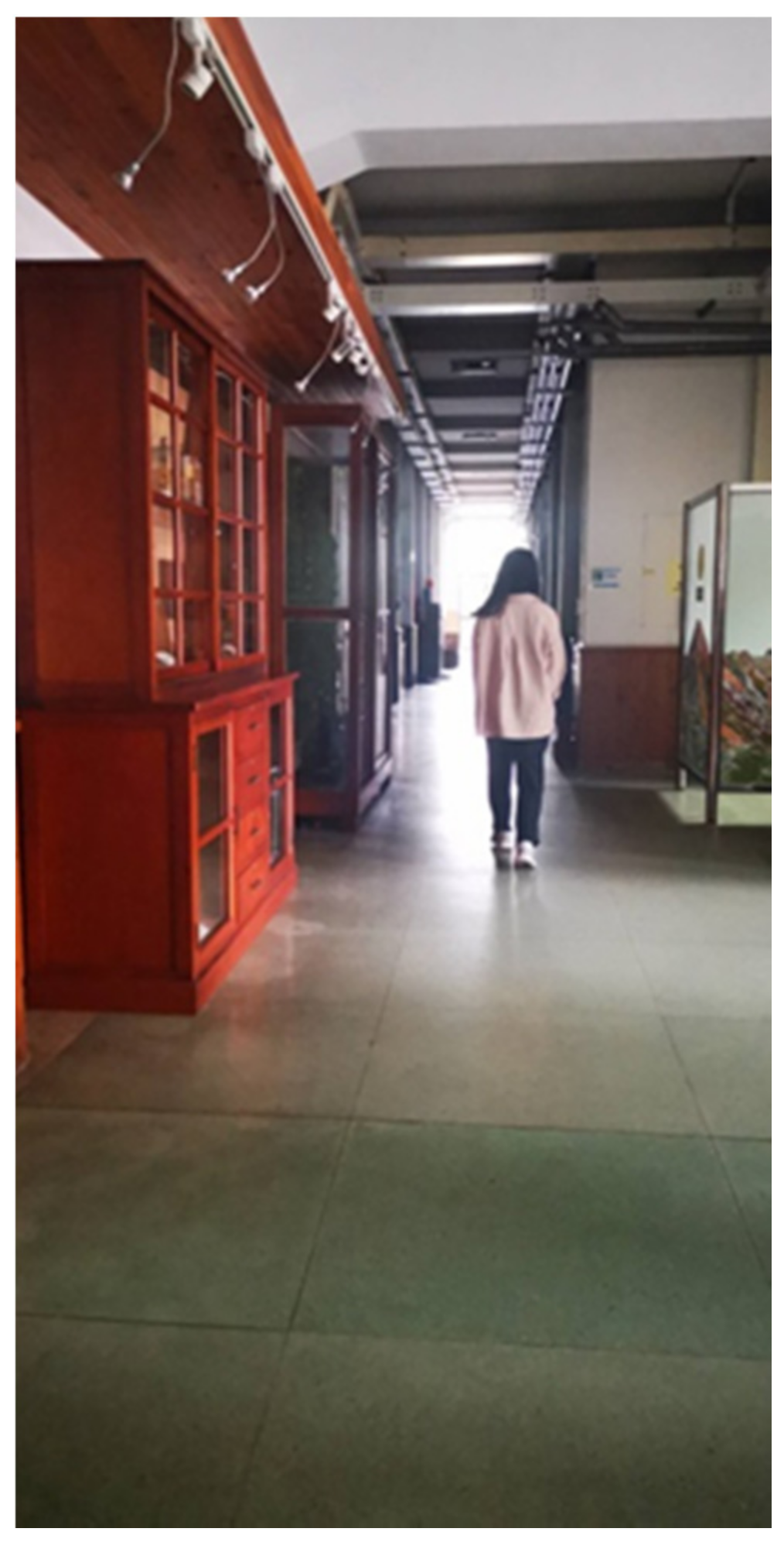 Sustainability 14 07828 g001