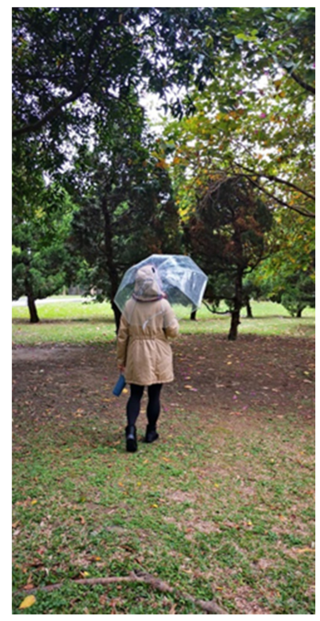 Sustainability 14 07828 g002