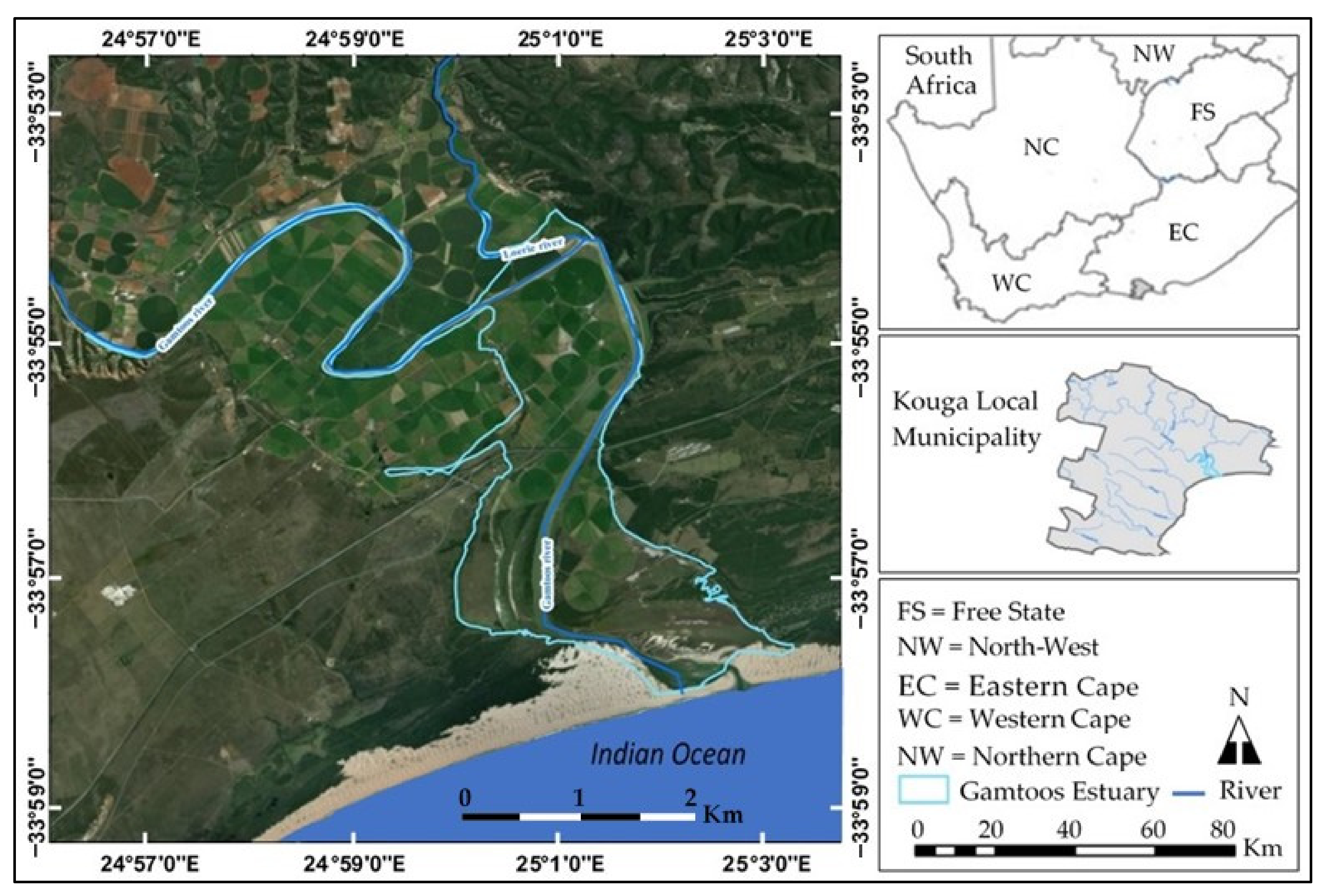 Sustainability 14 07859 g001