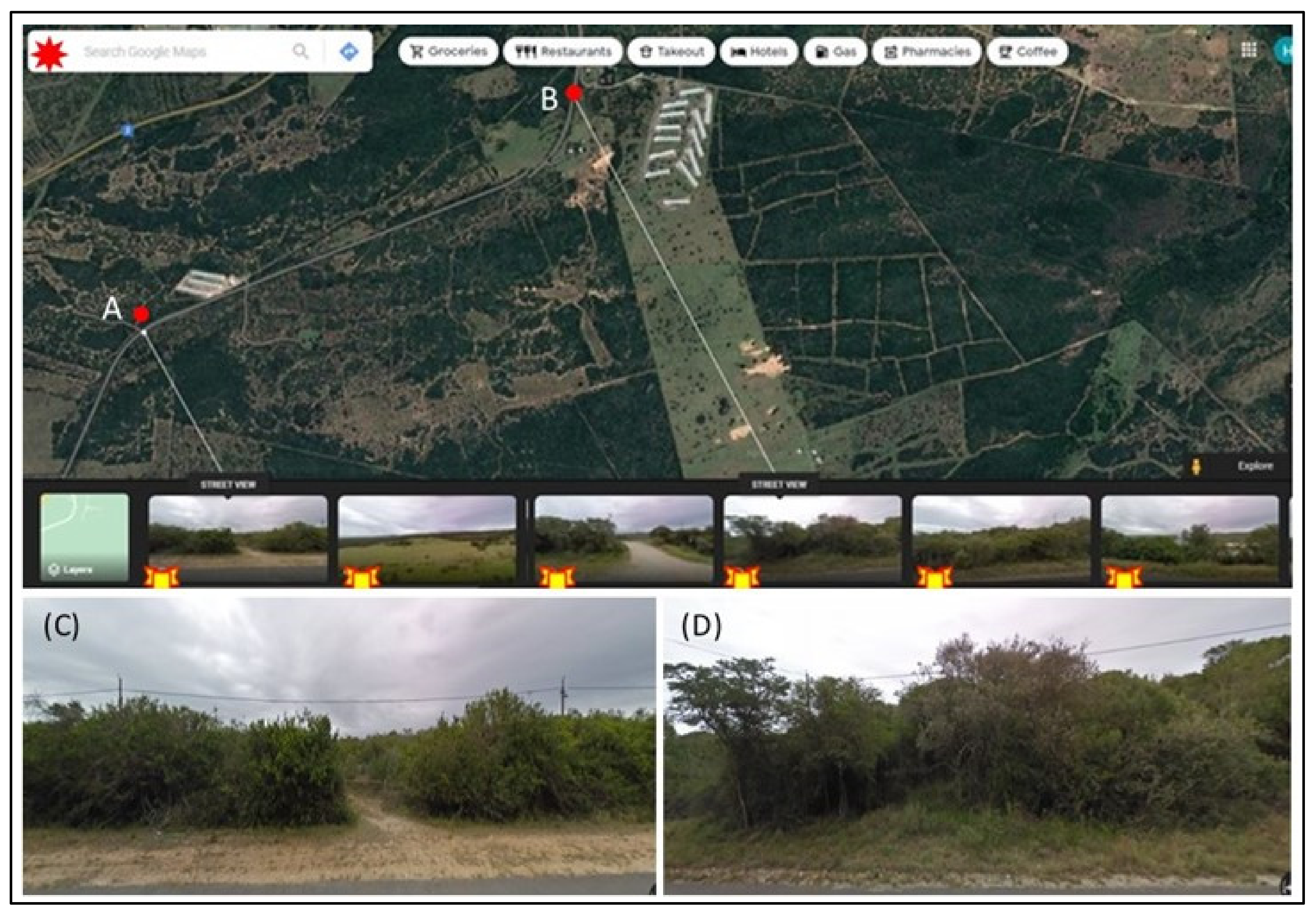 Sustainability 14 07859 g003