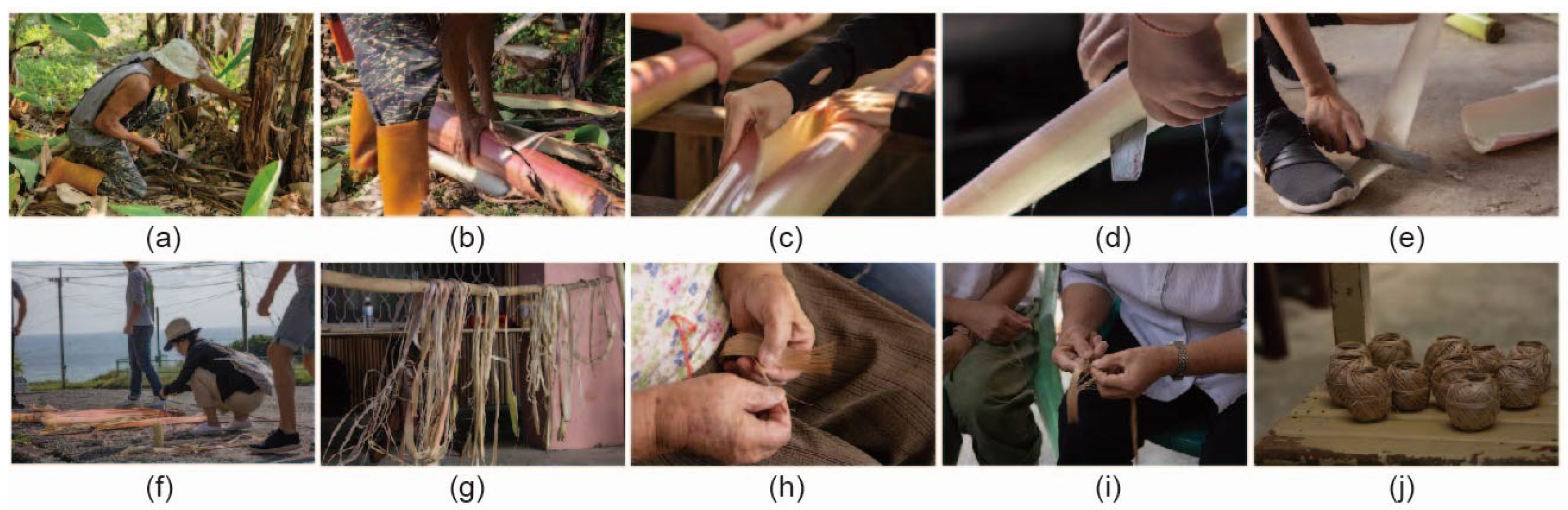 Sustainability 14 07872 g004