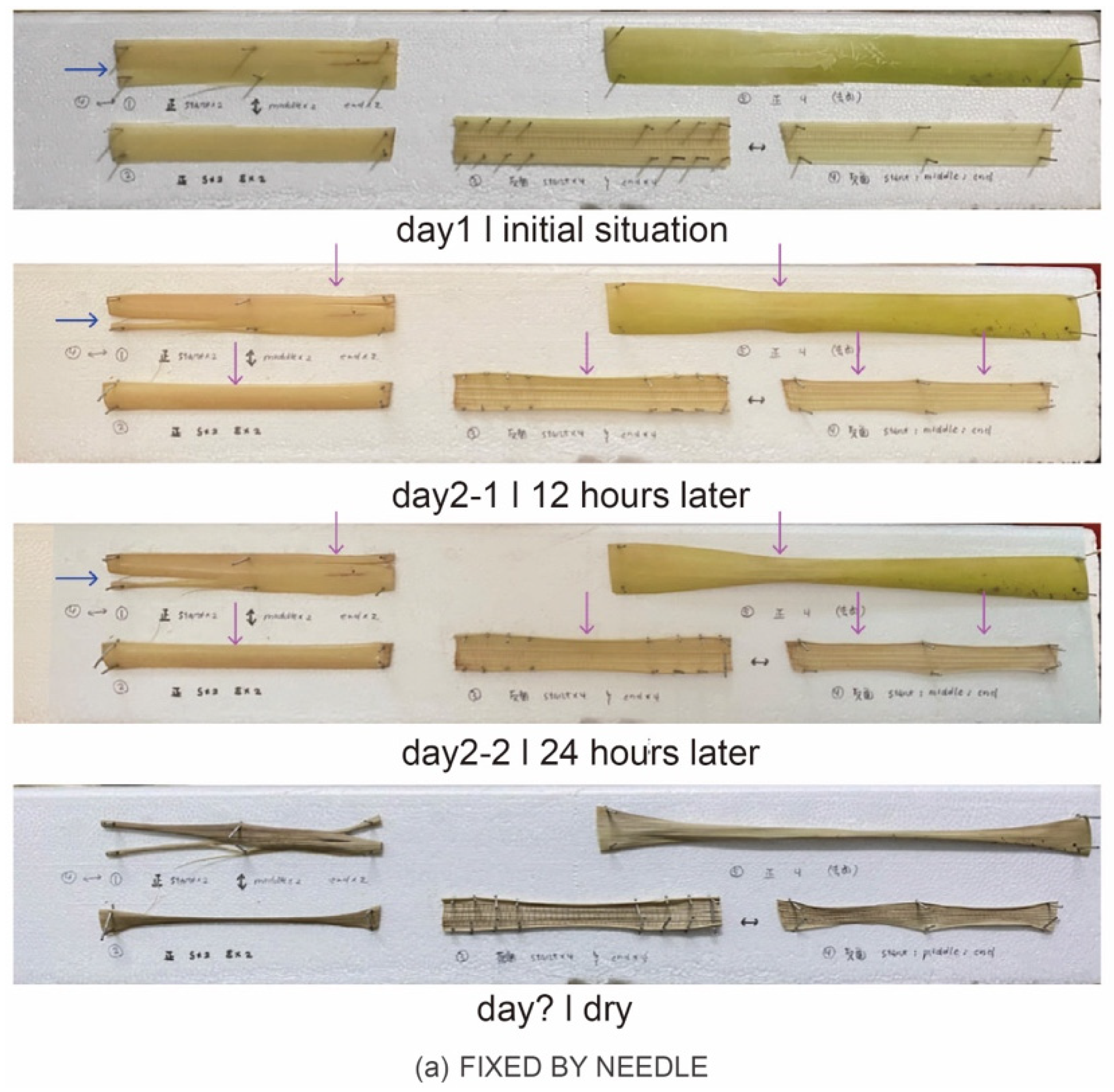 Sustainability 14 07872 g021a