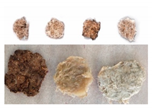 Sustainability 14 07872 i003