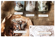 Sustainability 14 07872 i006