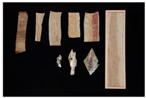 Sustainability 14 07872 i010