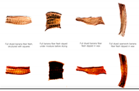 Sustainability 14 07872 i016