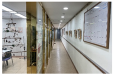 Sustainability 14 07878 i033