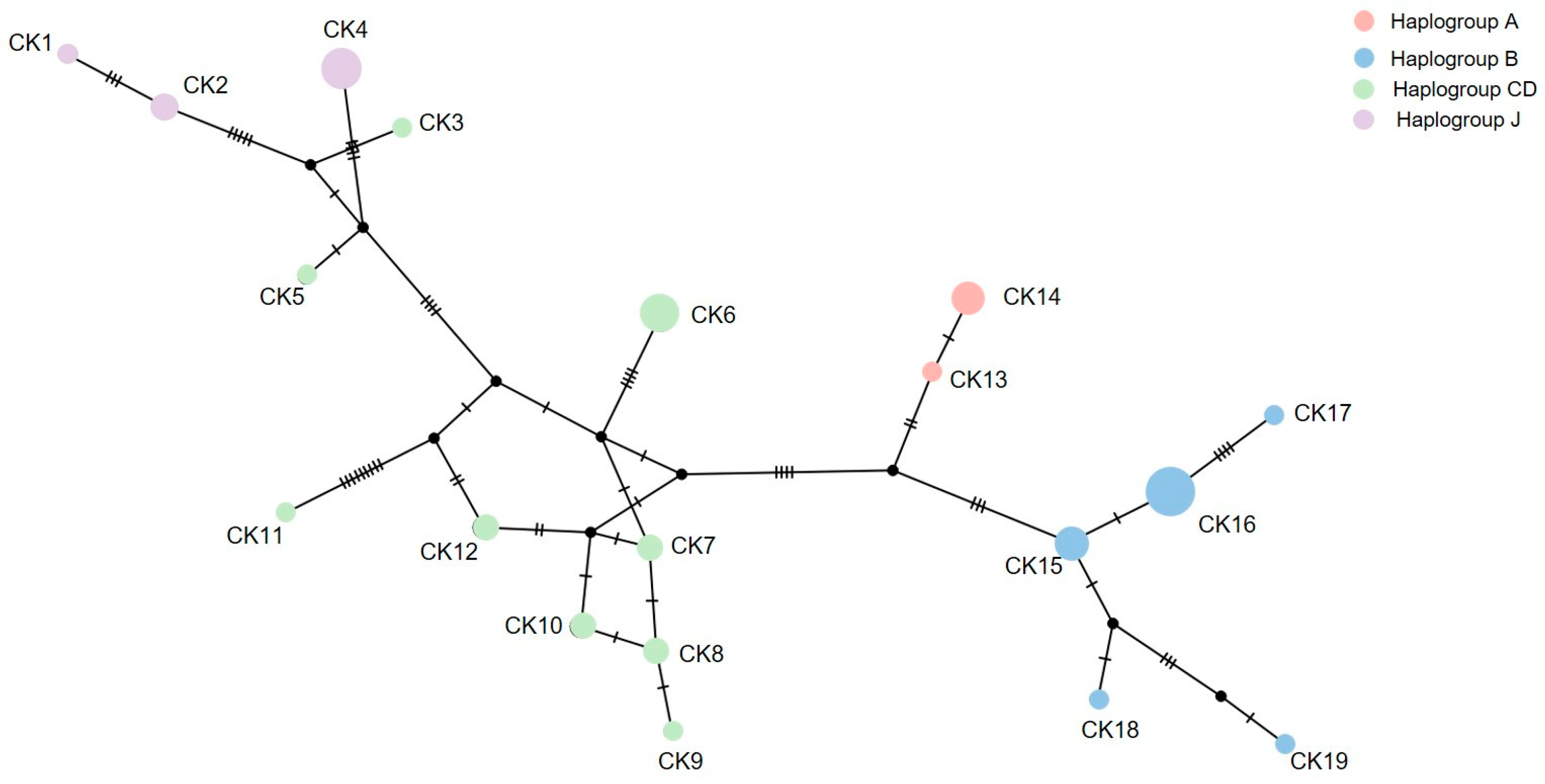 Sustainability 14 07895 g003