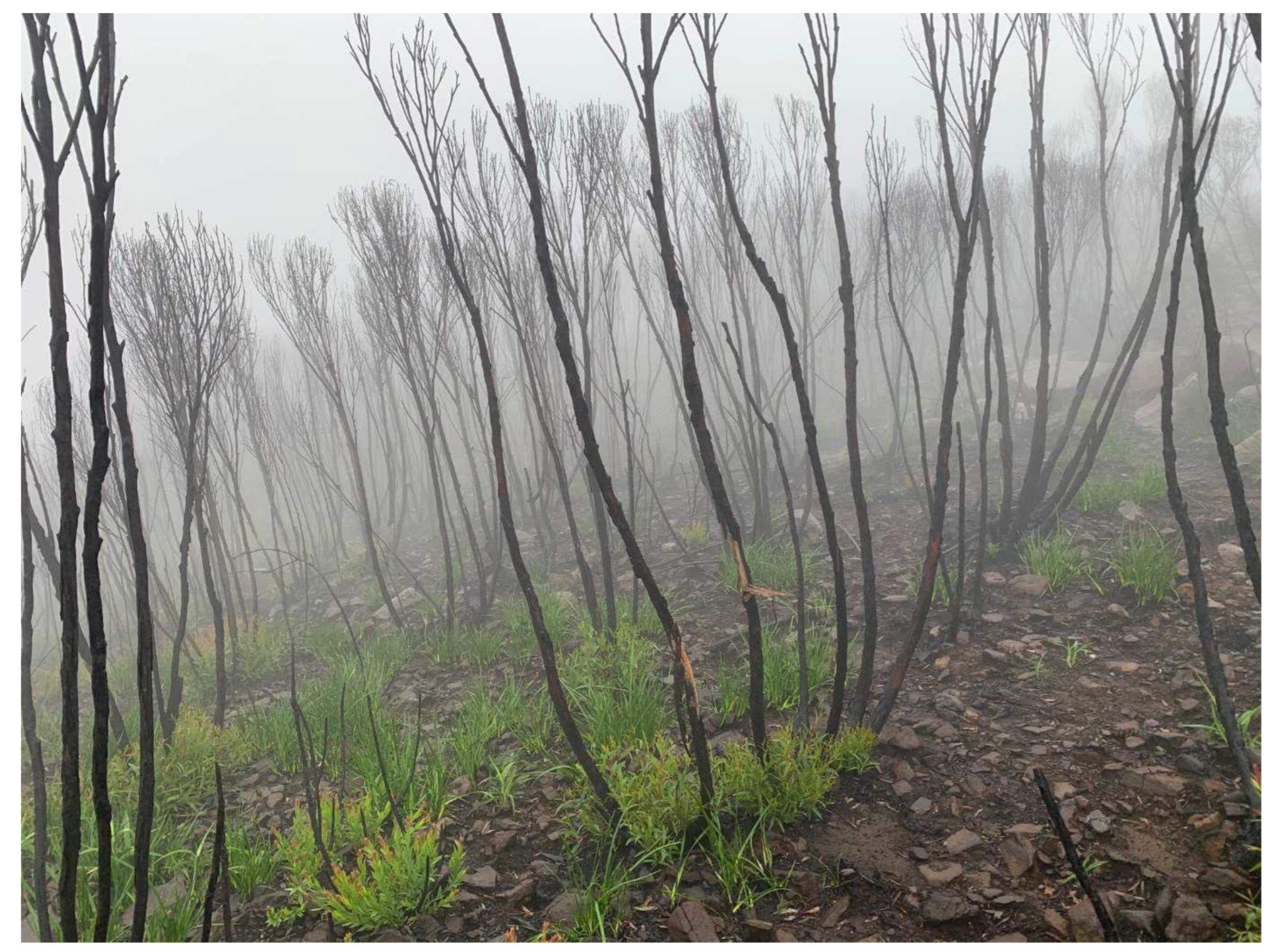 Sustainability 14 07948 g002