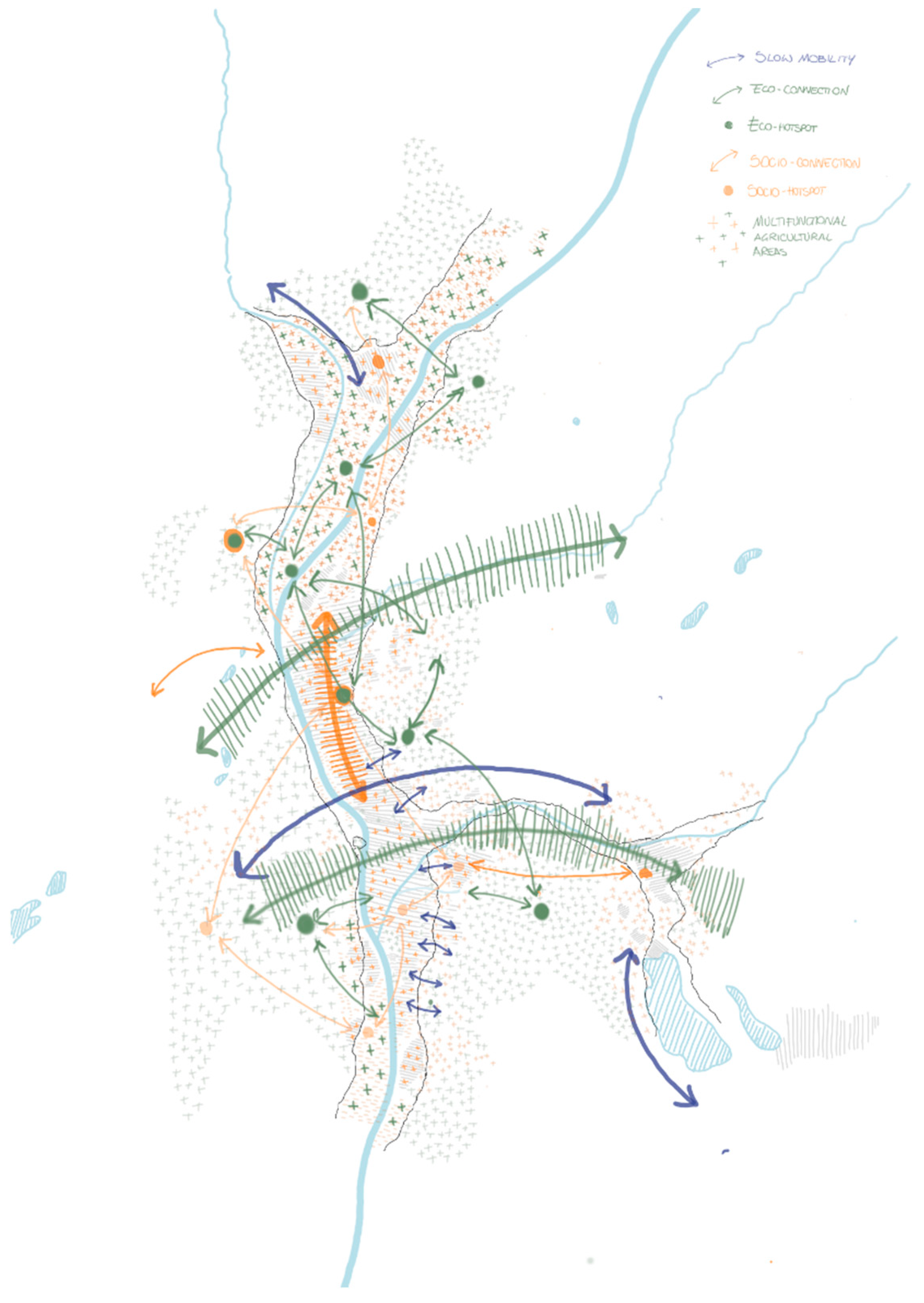 Sustainability 14 07975 g007