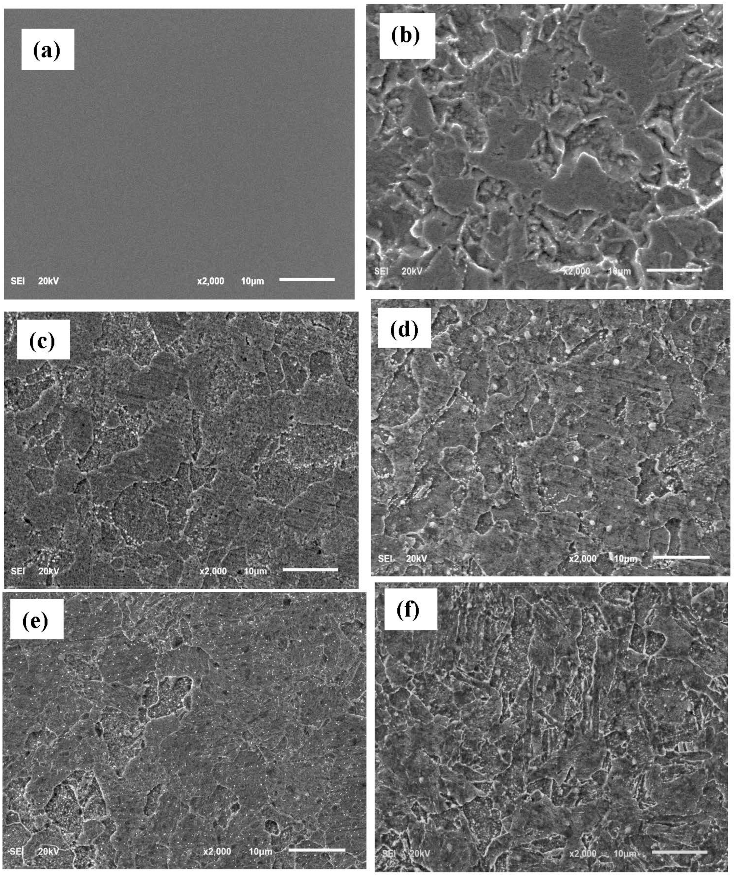 Sustainability 14 07981 g008
