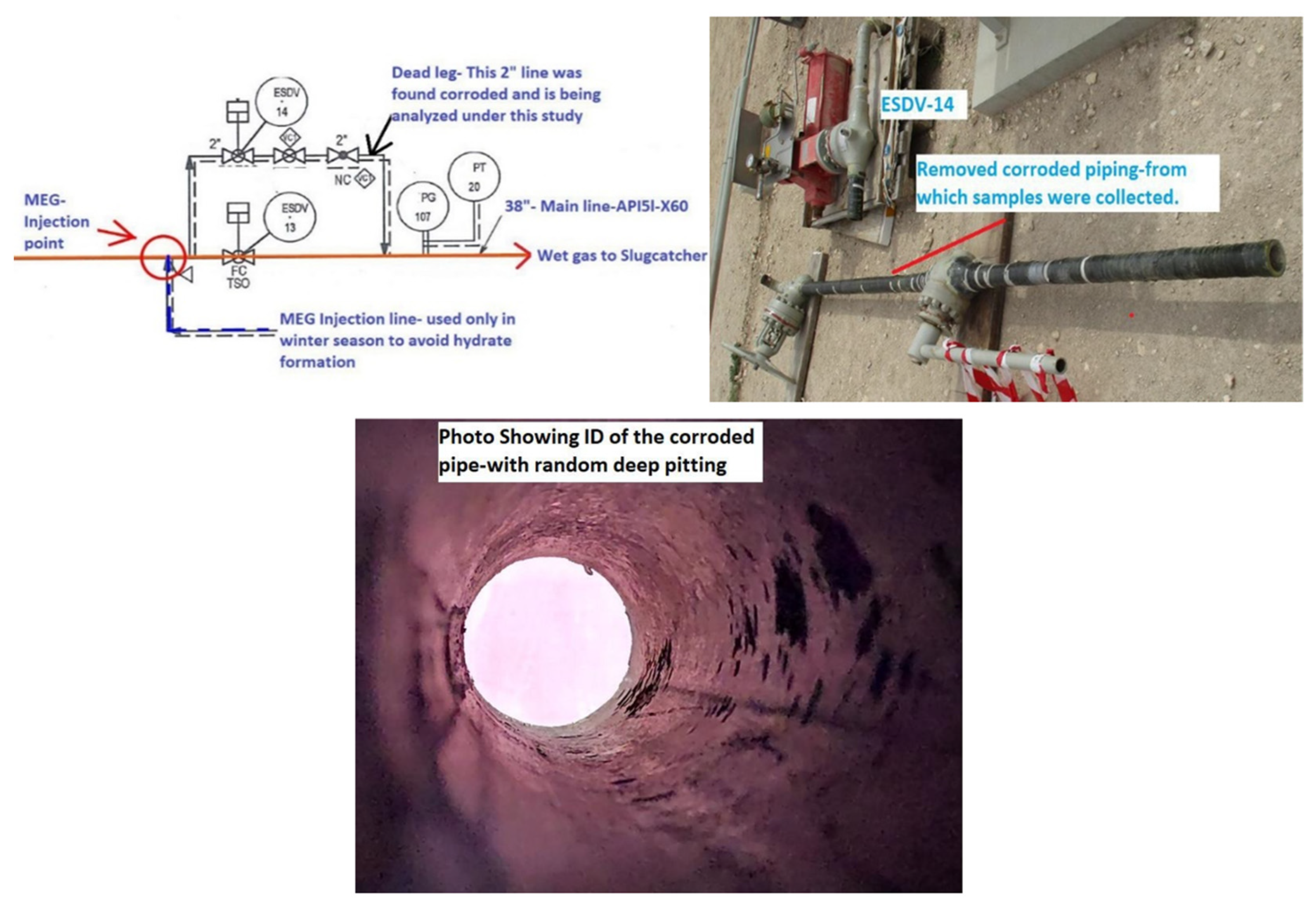 Sustainability 14 08015 g001