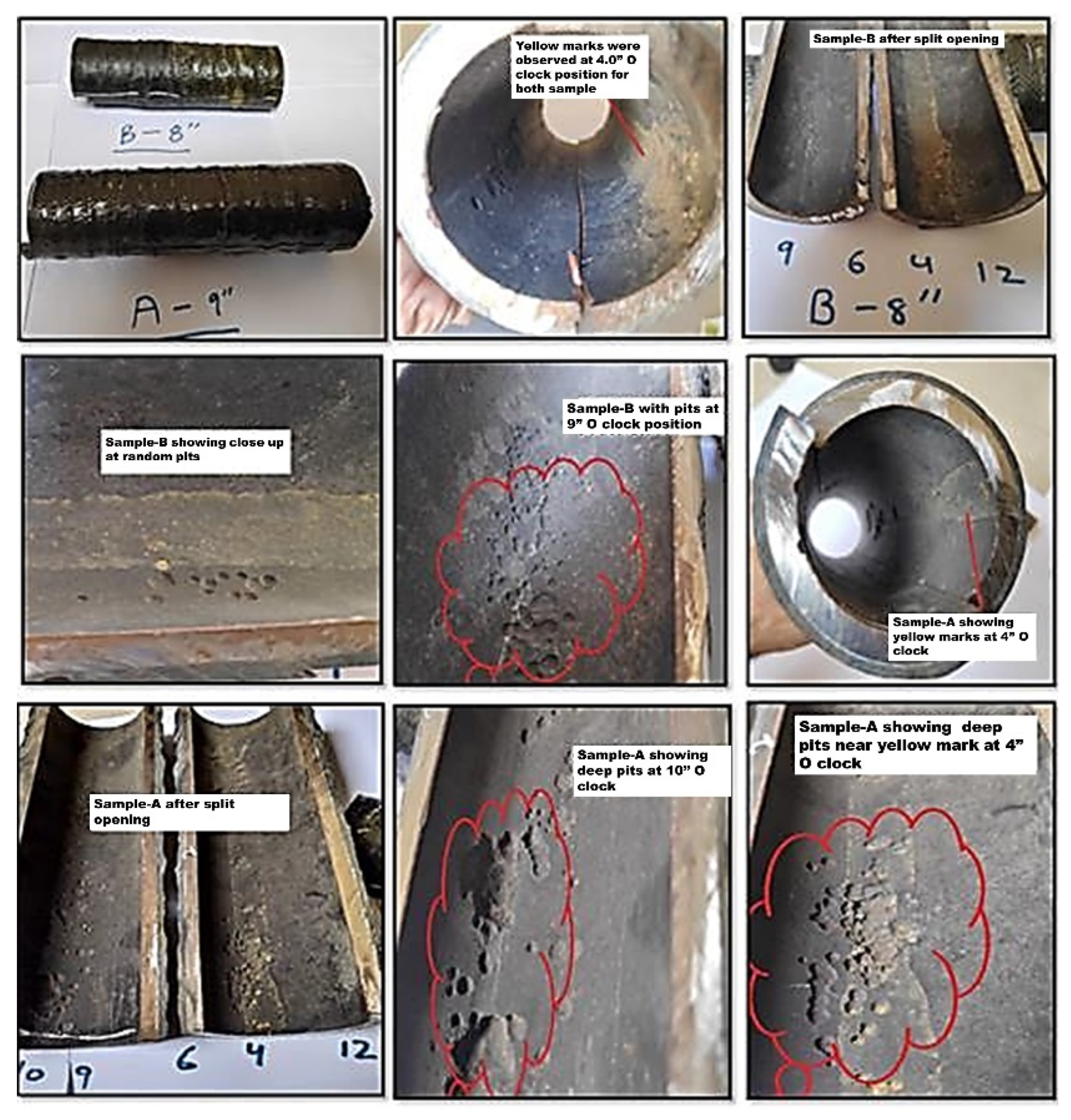 Sustainability 14 08015 g002