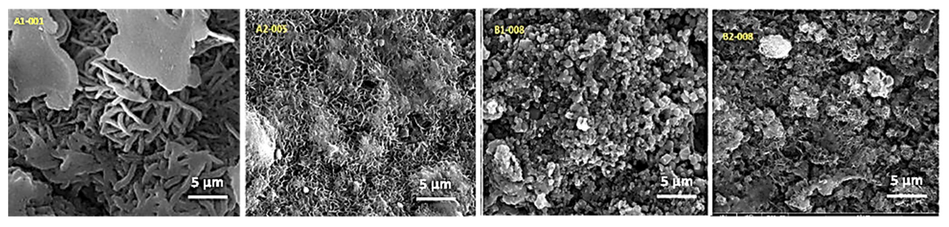 Sustainability 14 08015 g004