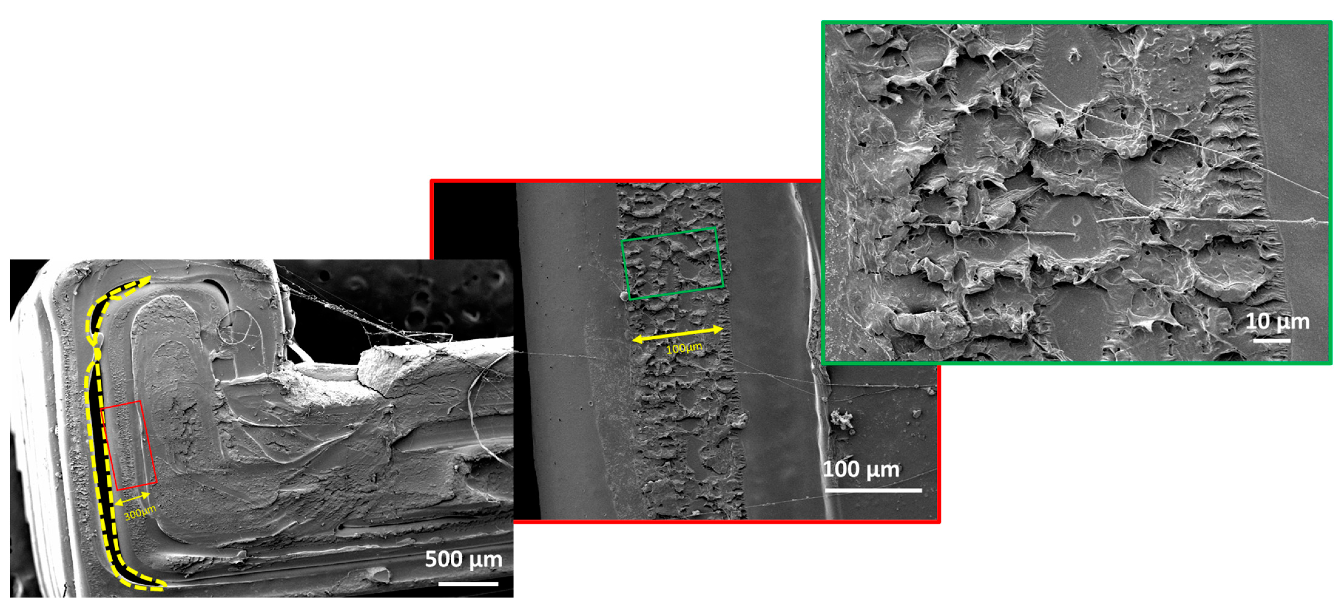 Sustainability 14 08071 g010