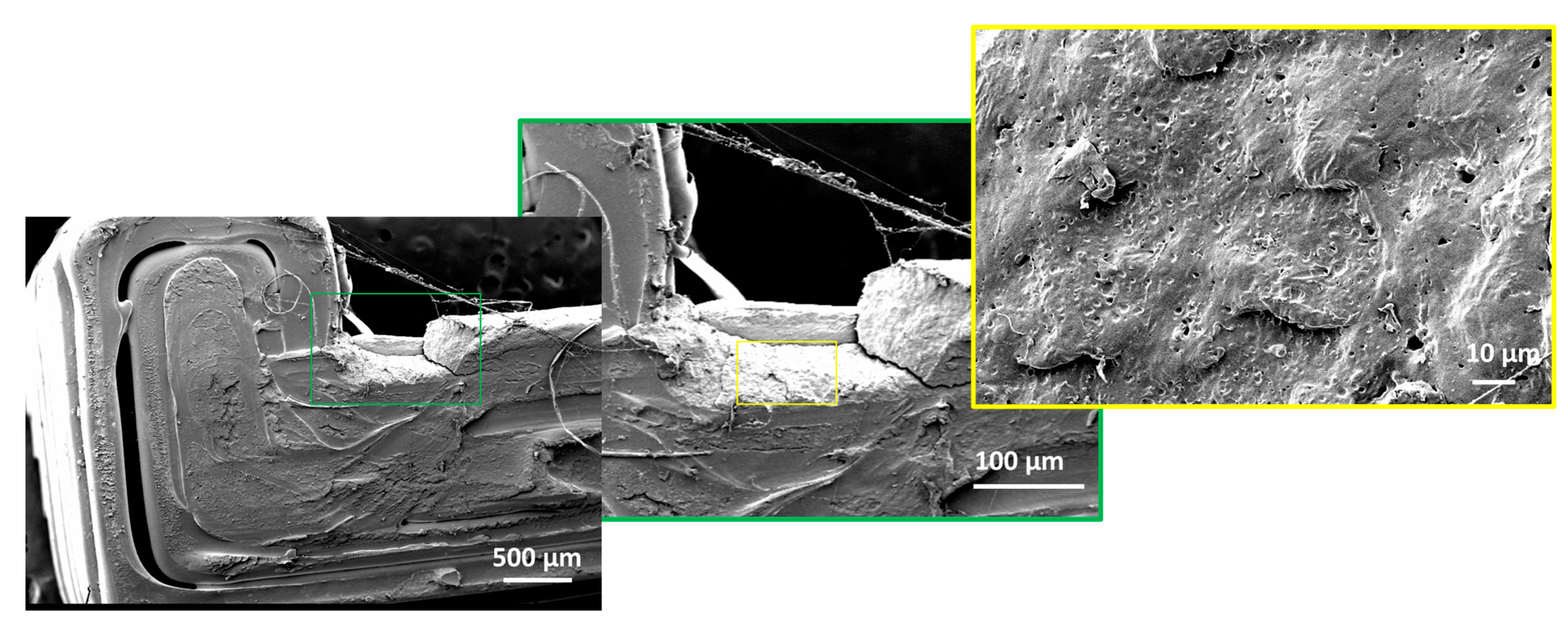 Sustainability 14 08071 g011