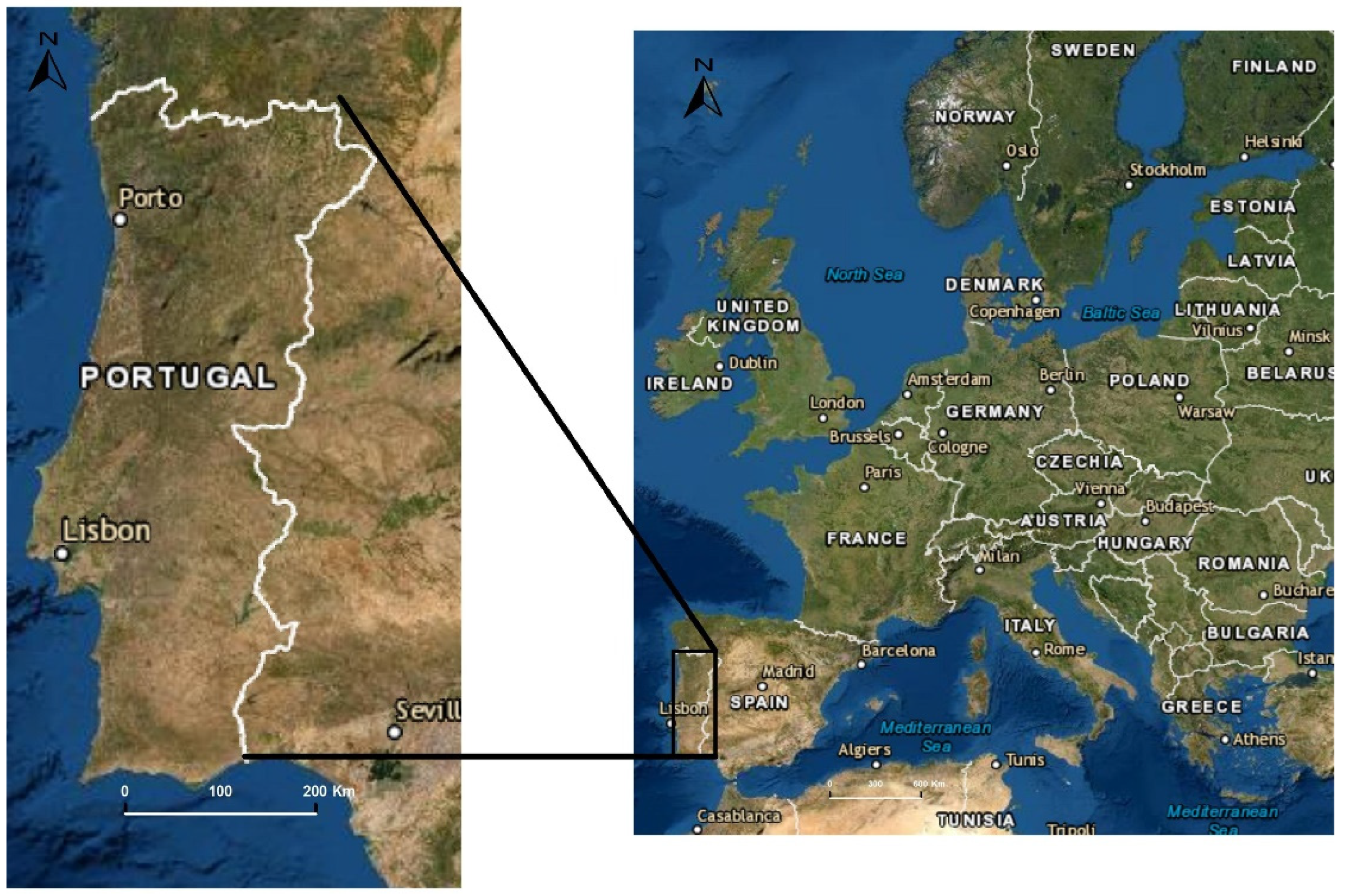 Sustainability 14 08111 g001