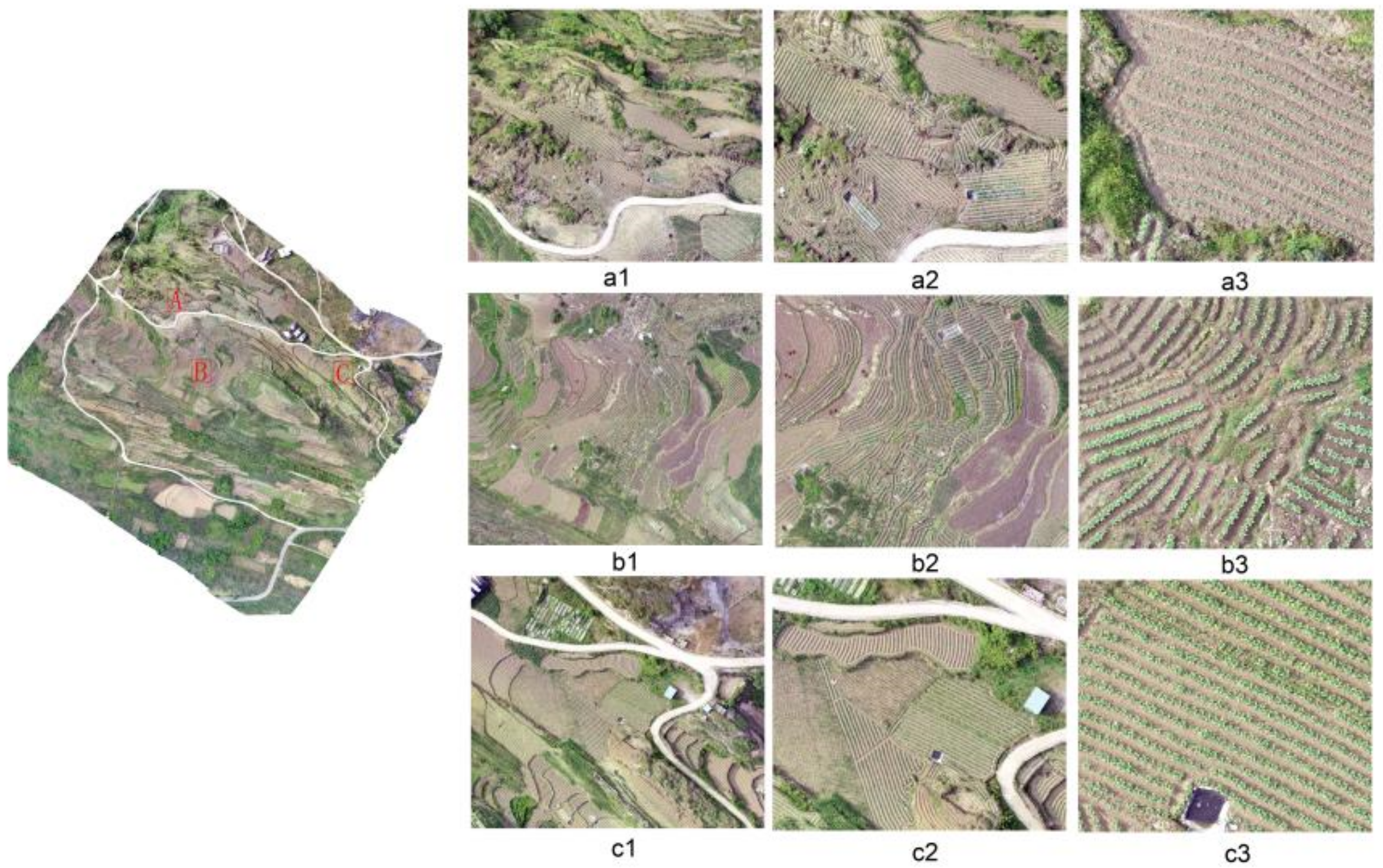 Sustainability 14 08151 g003