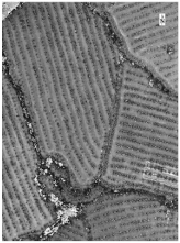 Sustainability 14 08151 i002