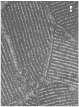 Sustainability 14 08151 i004