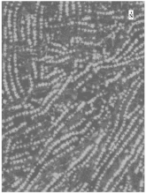 Sustainability 14 08151 i008