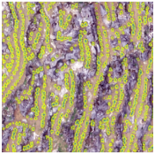 Sustainability 14 08151 i023