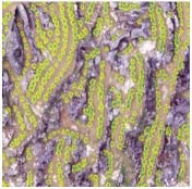 Sustainability 14 08151 i027