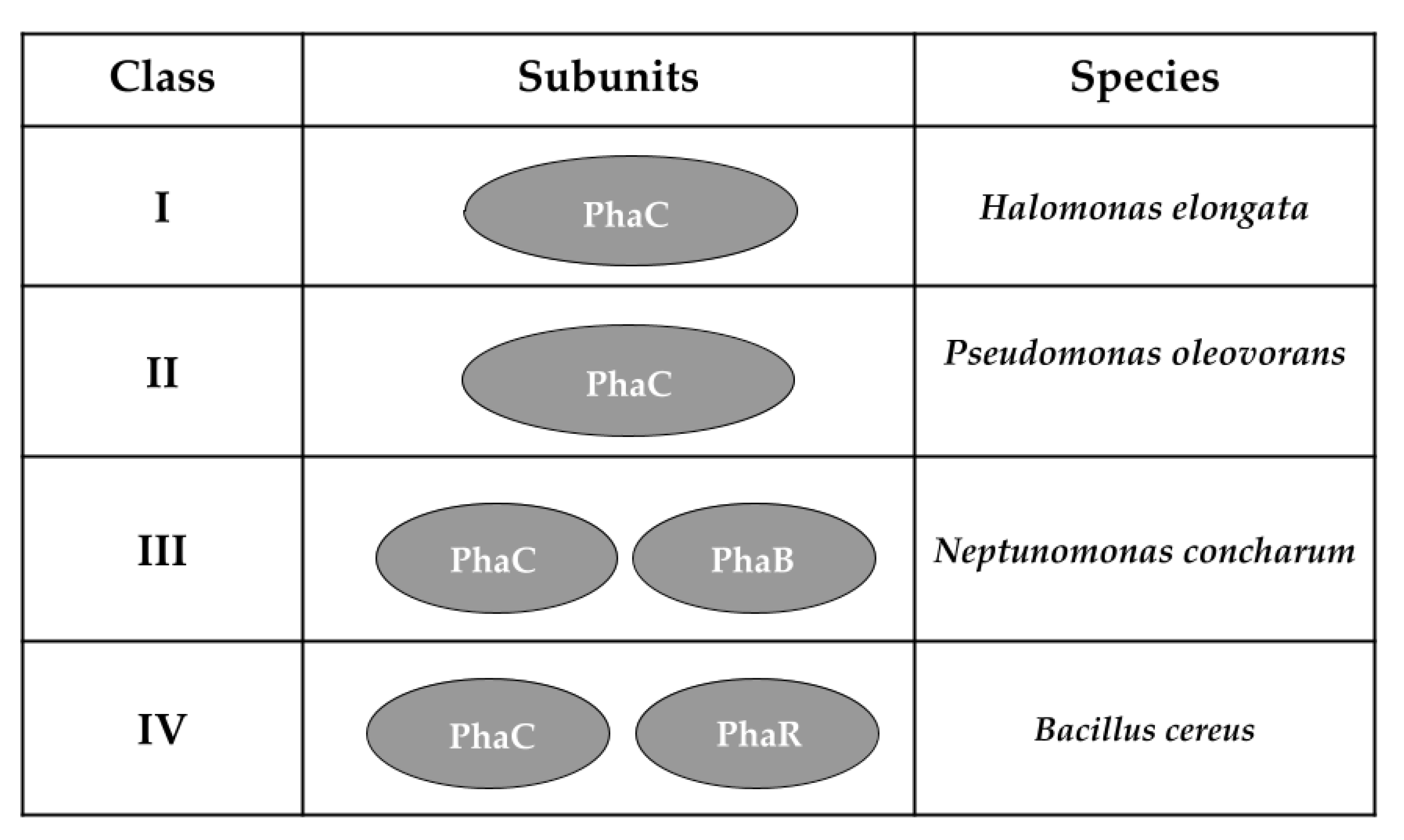 Sustainability 14 08241 g003