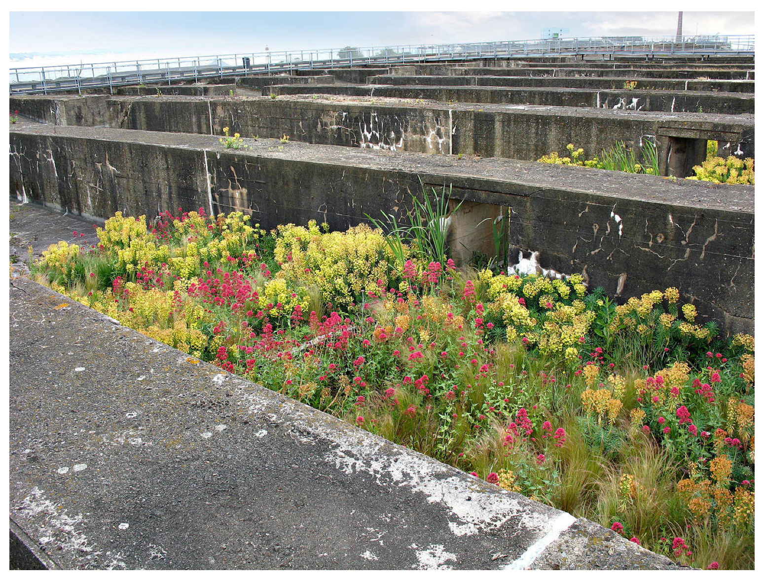 Sustainability 14 08751 g001