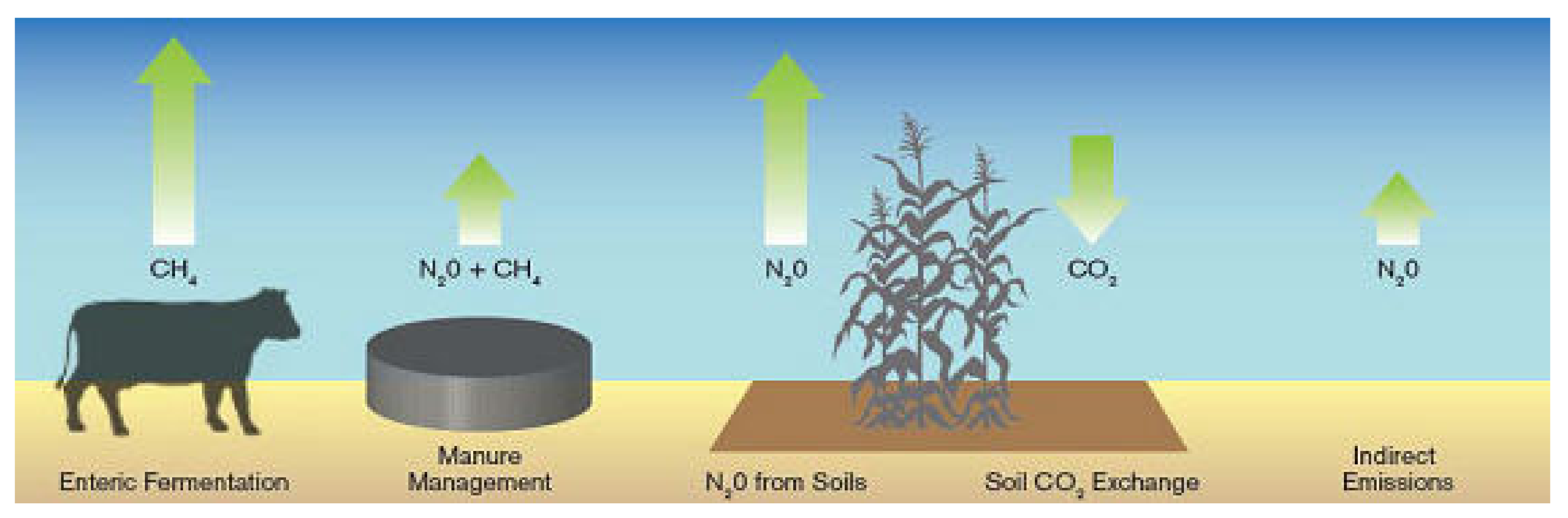 Sustainability 14 08806 g004