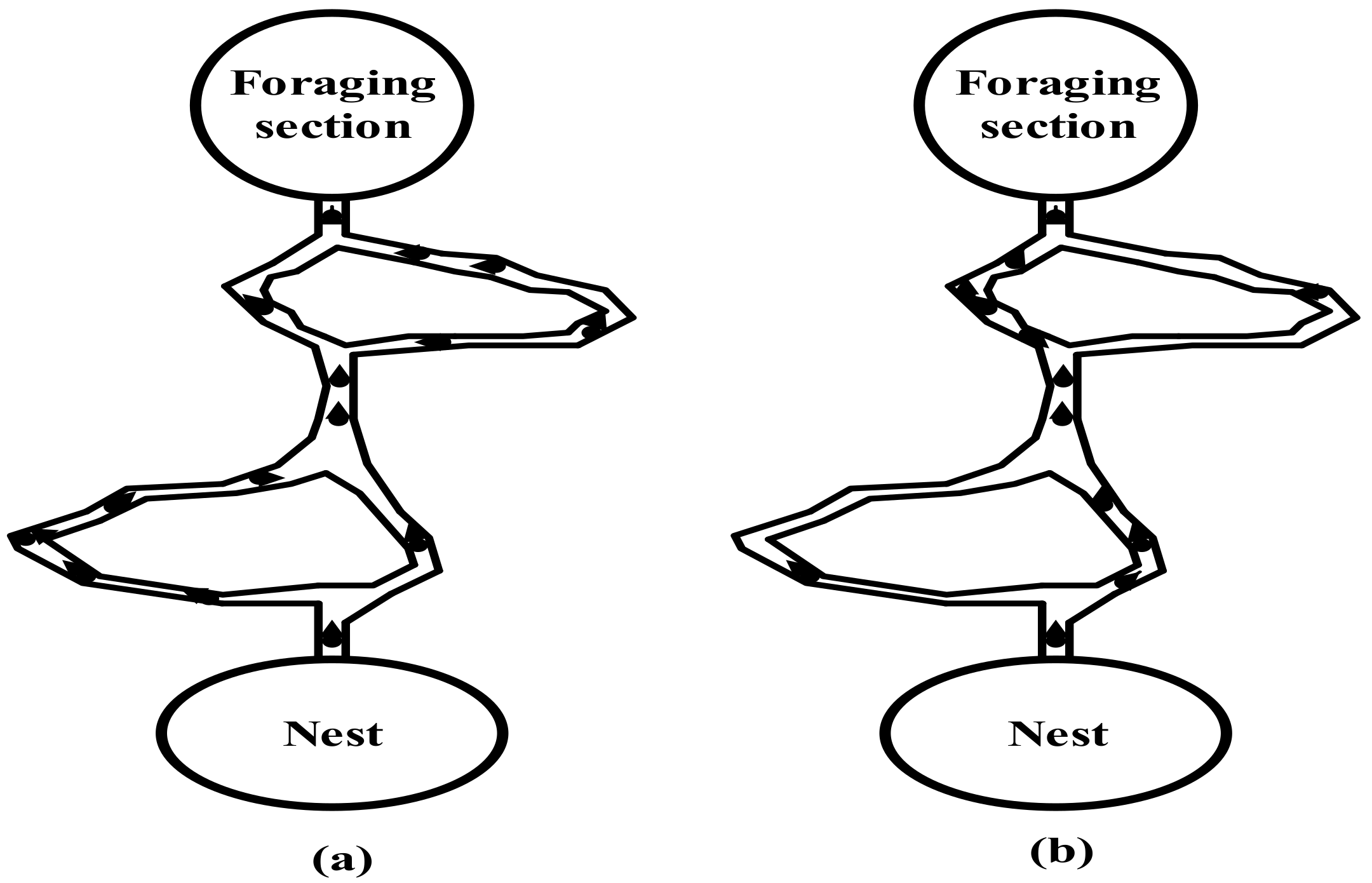 Sustainability 14 08986 g004